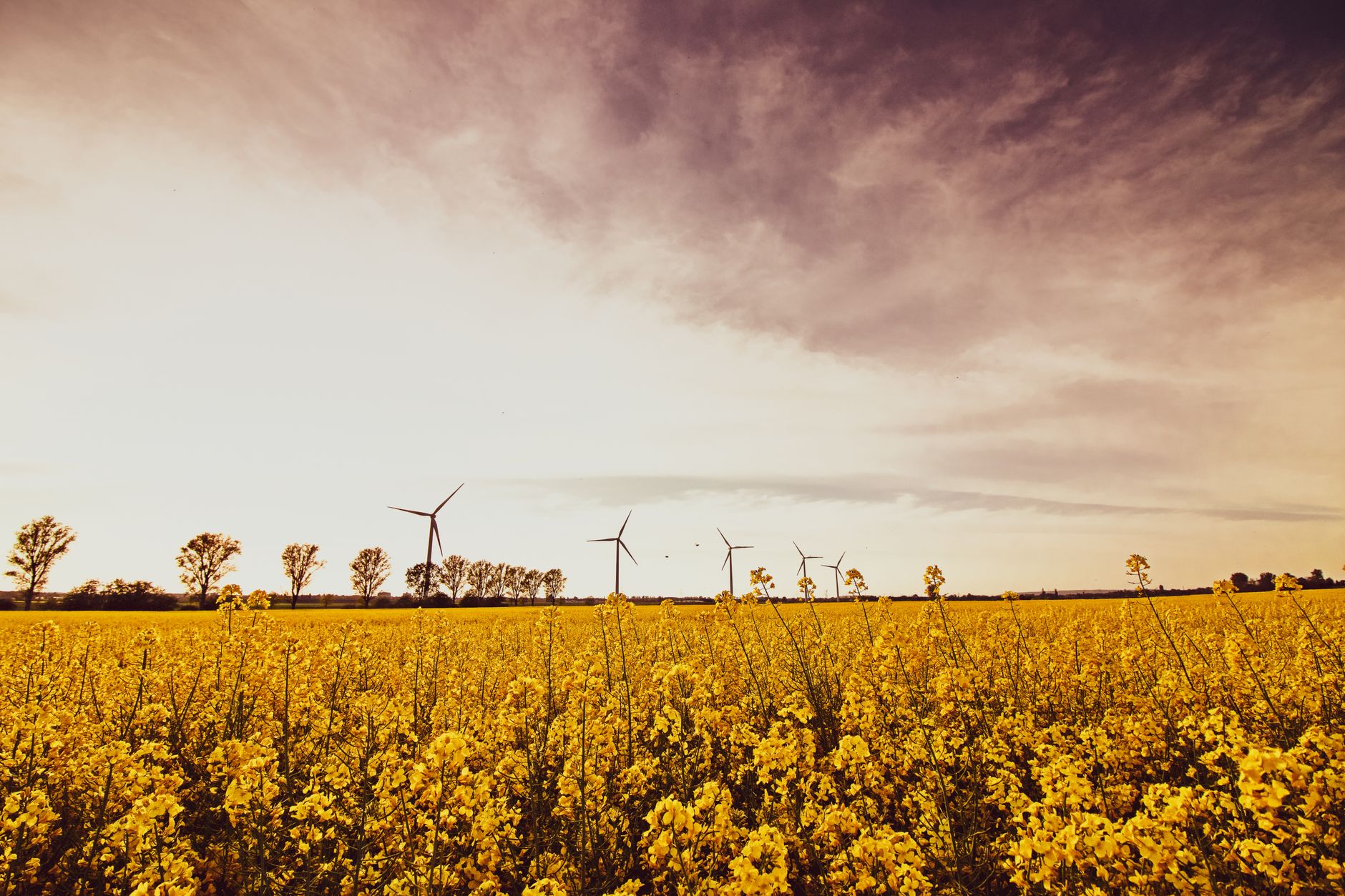 Honeywell's Ecofining Technology to Transform Brazilian Biofuels