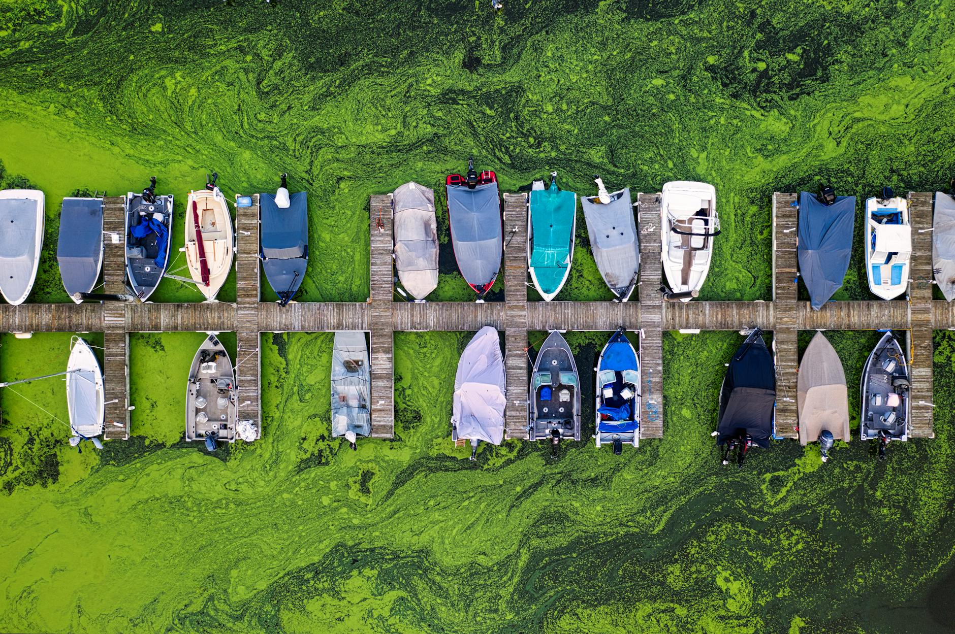 Baltic Sea's Oxygen-Starved Zones Threaten Ecosystem
