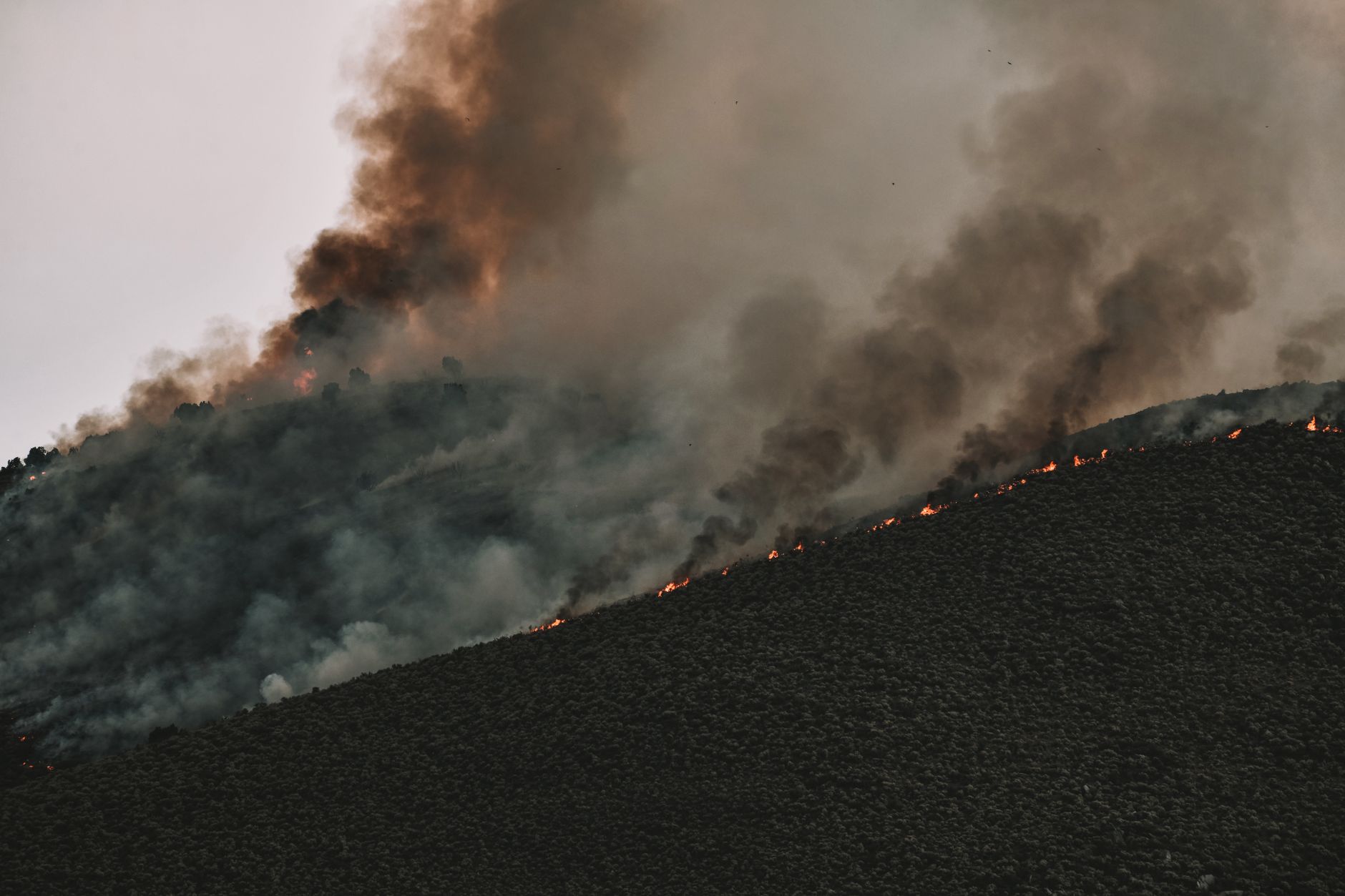 NASA's PACE Mission: Illuminating the Impact of Wildfire Smoke
