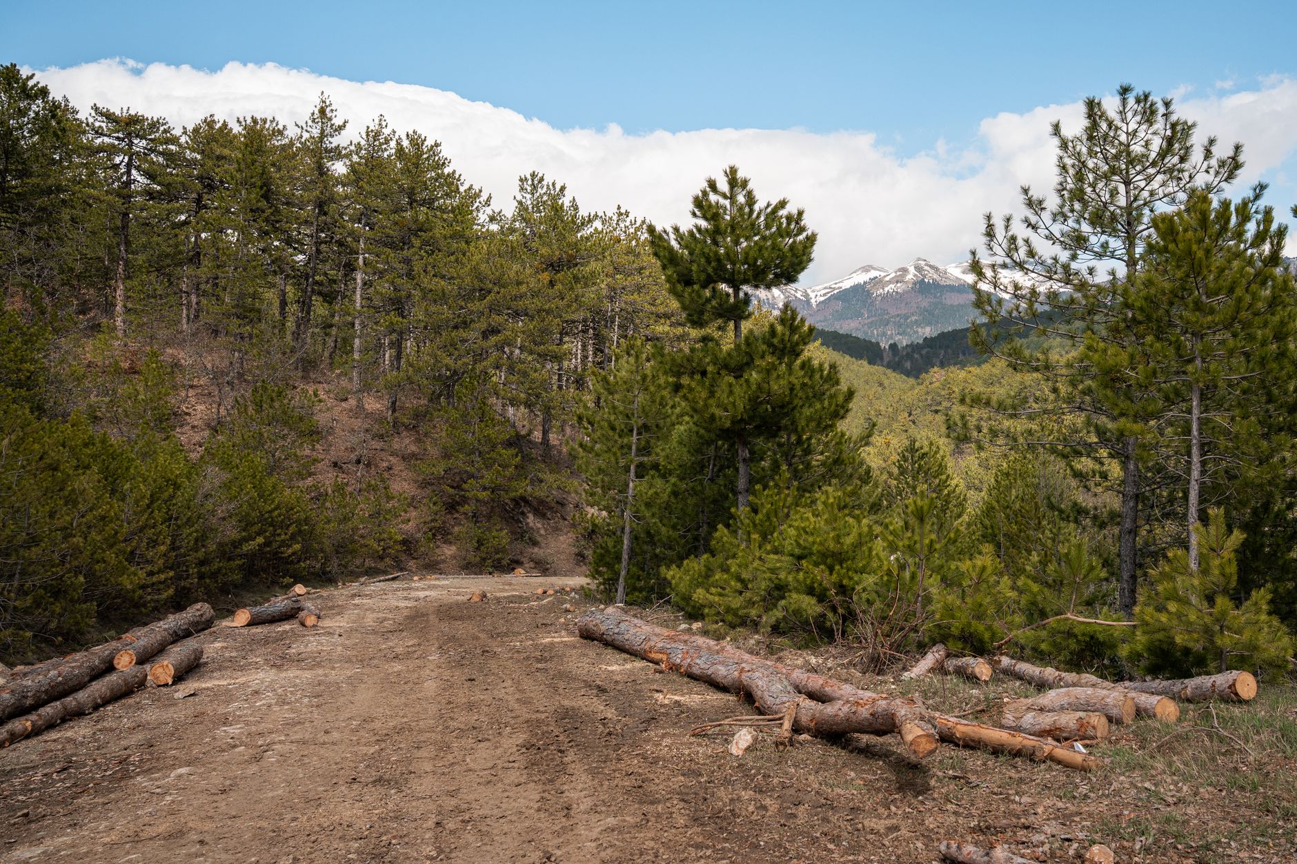 Kushner's Albanian Resort: A Looming Ecological Crisis