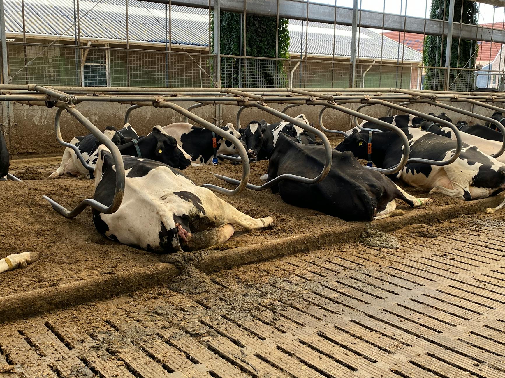 Munters' Strategic Acquisition of Optifarm: A Vision for Animal Health