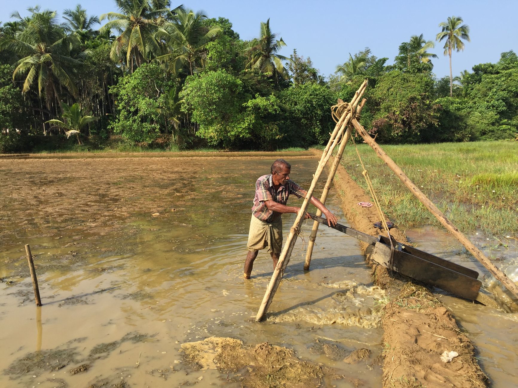 Karnataka Farmers Turn to Biochar in Eco-friendly Soil Revolution