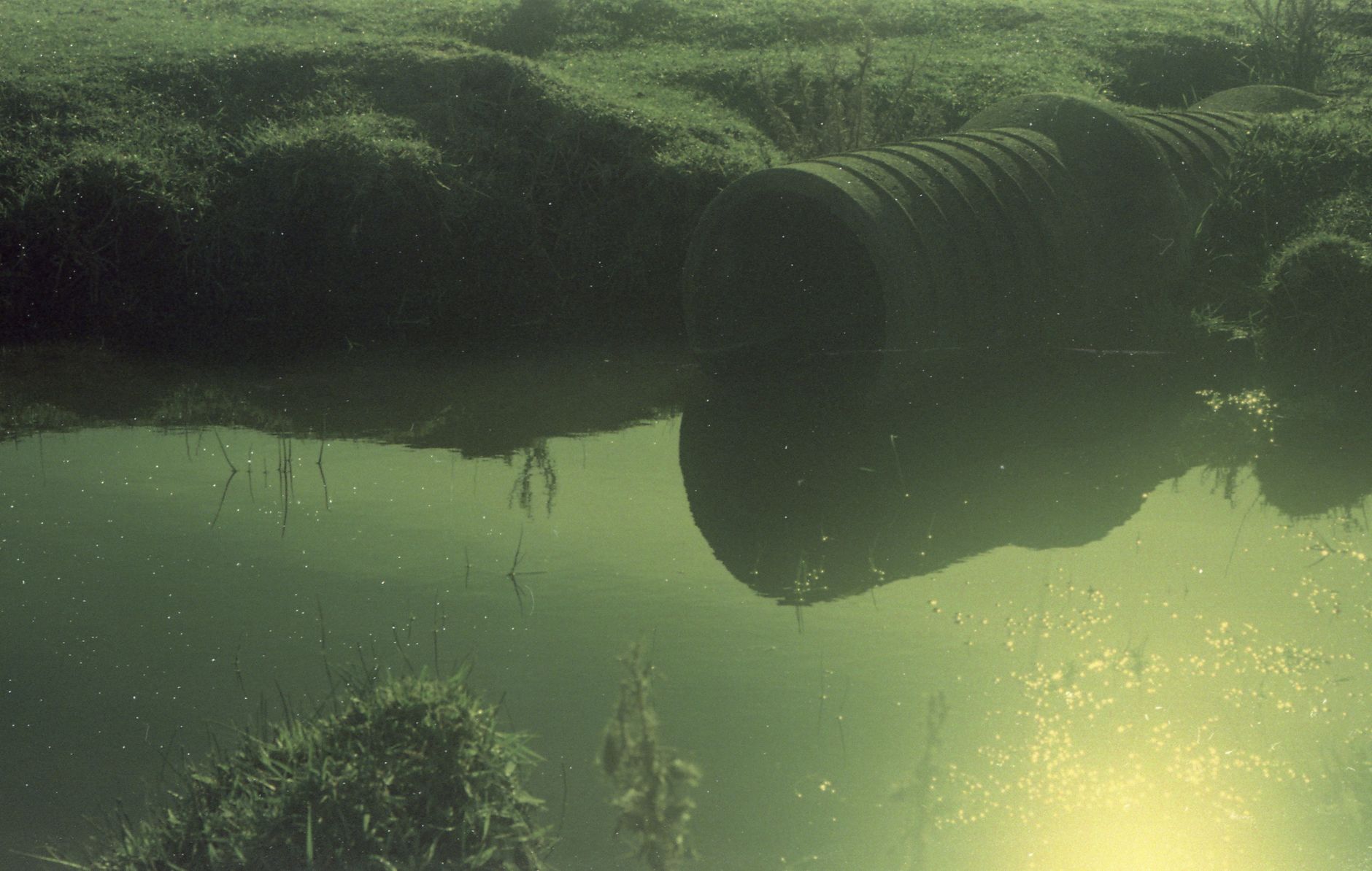 Illuminating the Depths: USGS Unveils River Secrets with Fluorescent Dye
