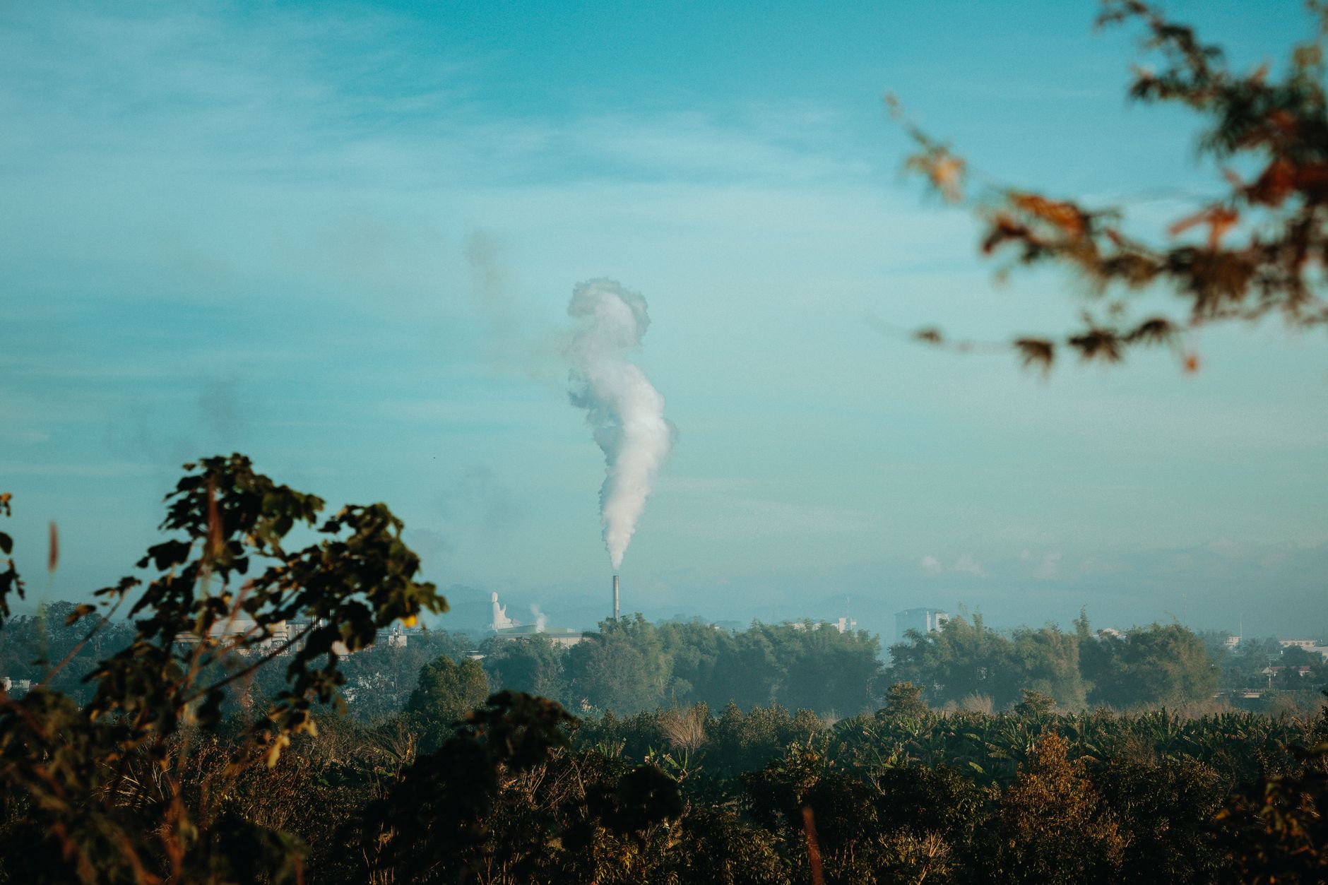 UN Chief Urges AI Giants to Reveal Environmental Impact