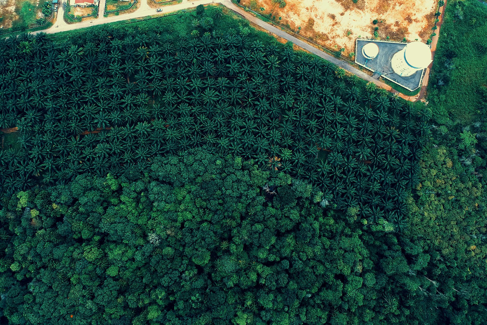Aerial Photography Reveals Human Impact on Nature