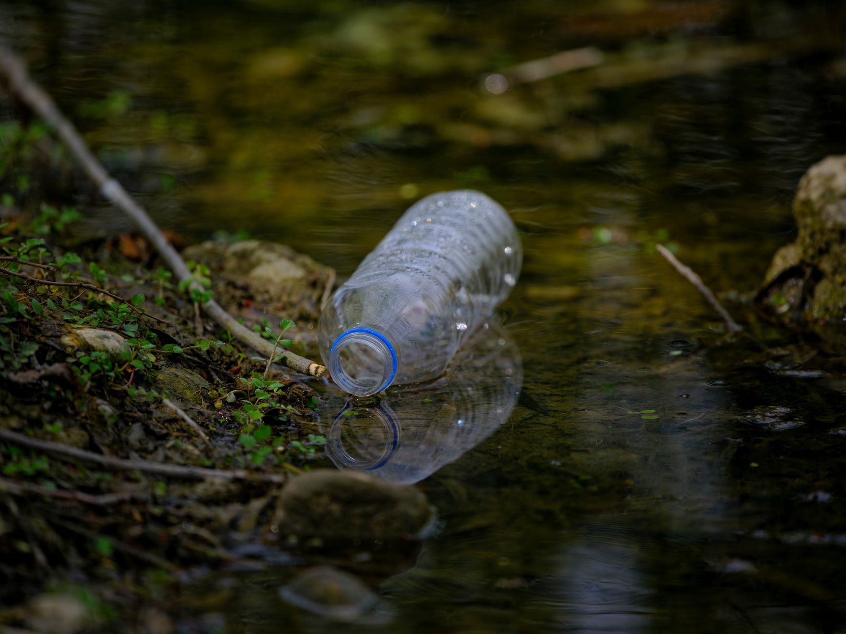 Chemical Pollution Plagues England's Waterways, Officials Confirm
