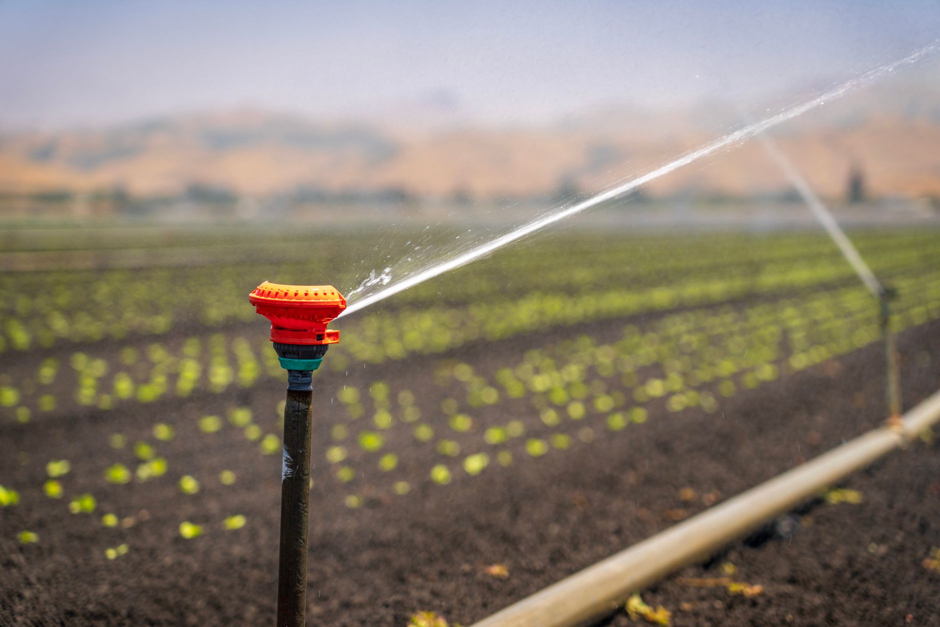 Telangana Farmers Call for Tech-Driven Irrigation Revival