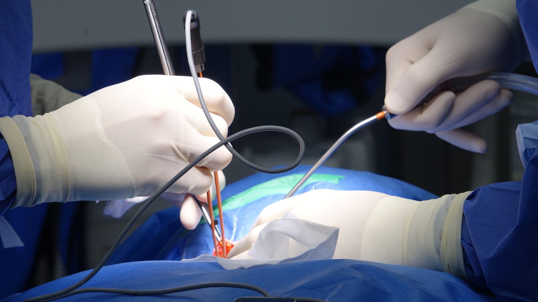 EQT Expands Its Biosurgery Portfolio with TachoSil Acquisition
