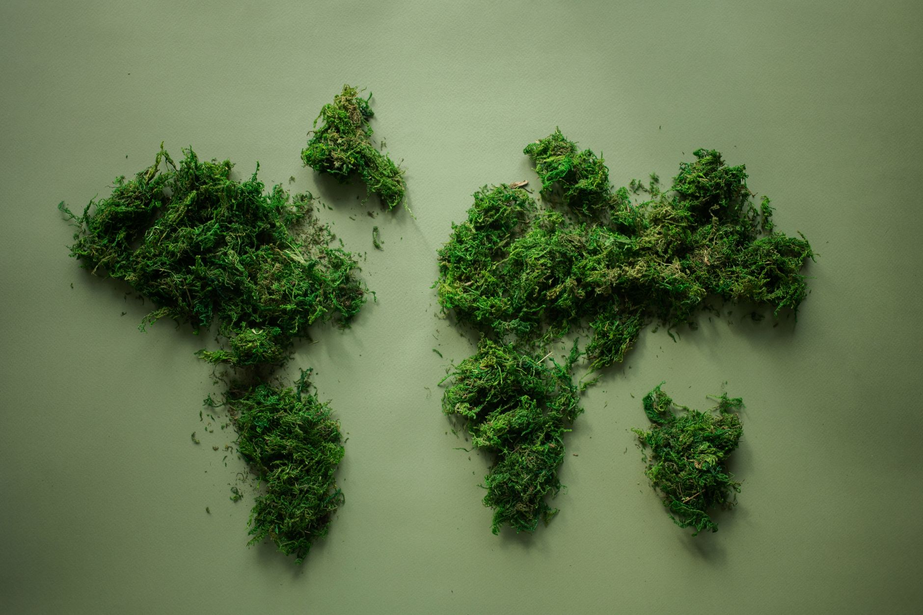 UNEP Seeks Hosts for World Environment Day 2028