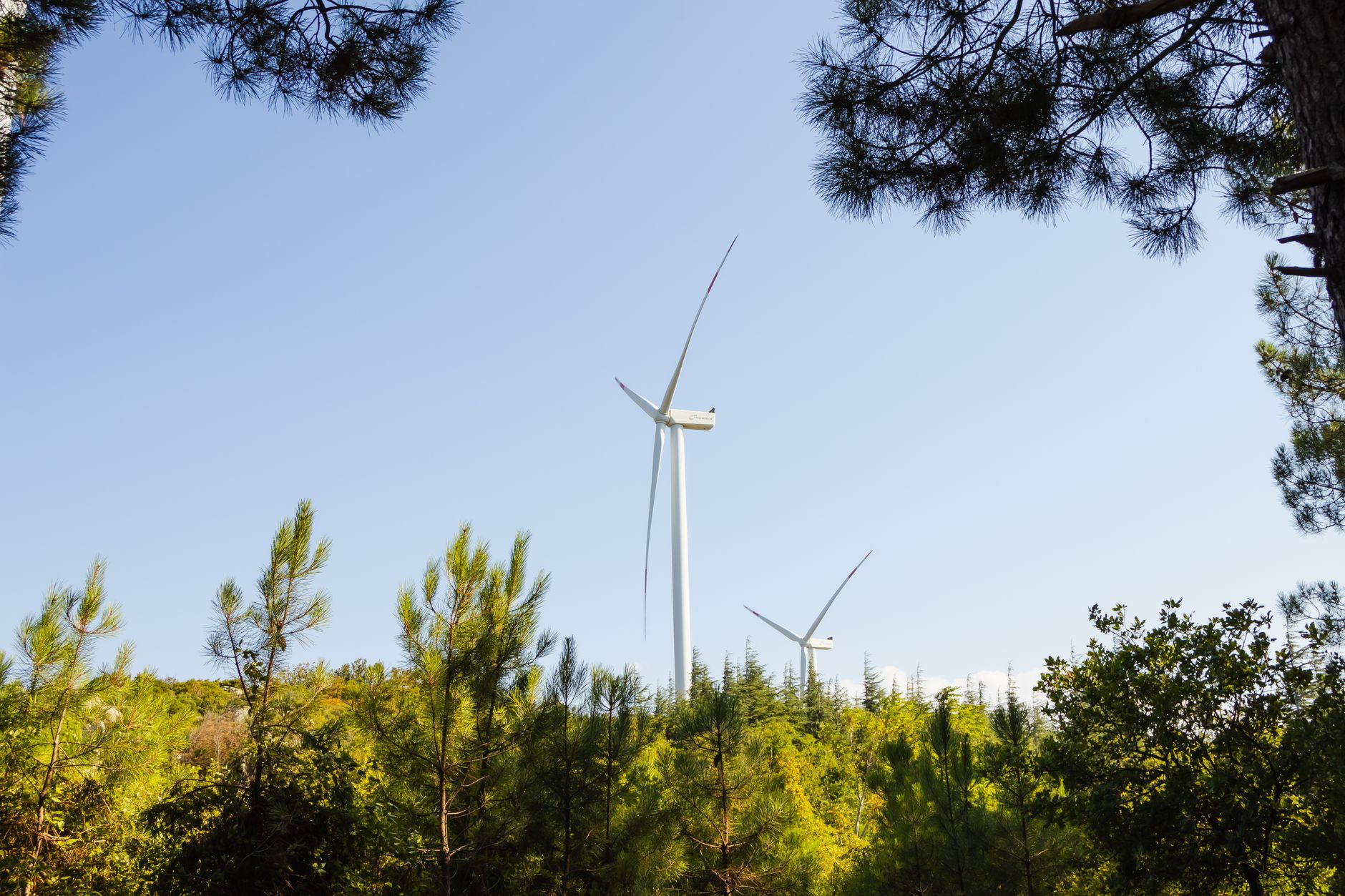 Turkey Charts Ambitious Path for COP31 Climate Summit