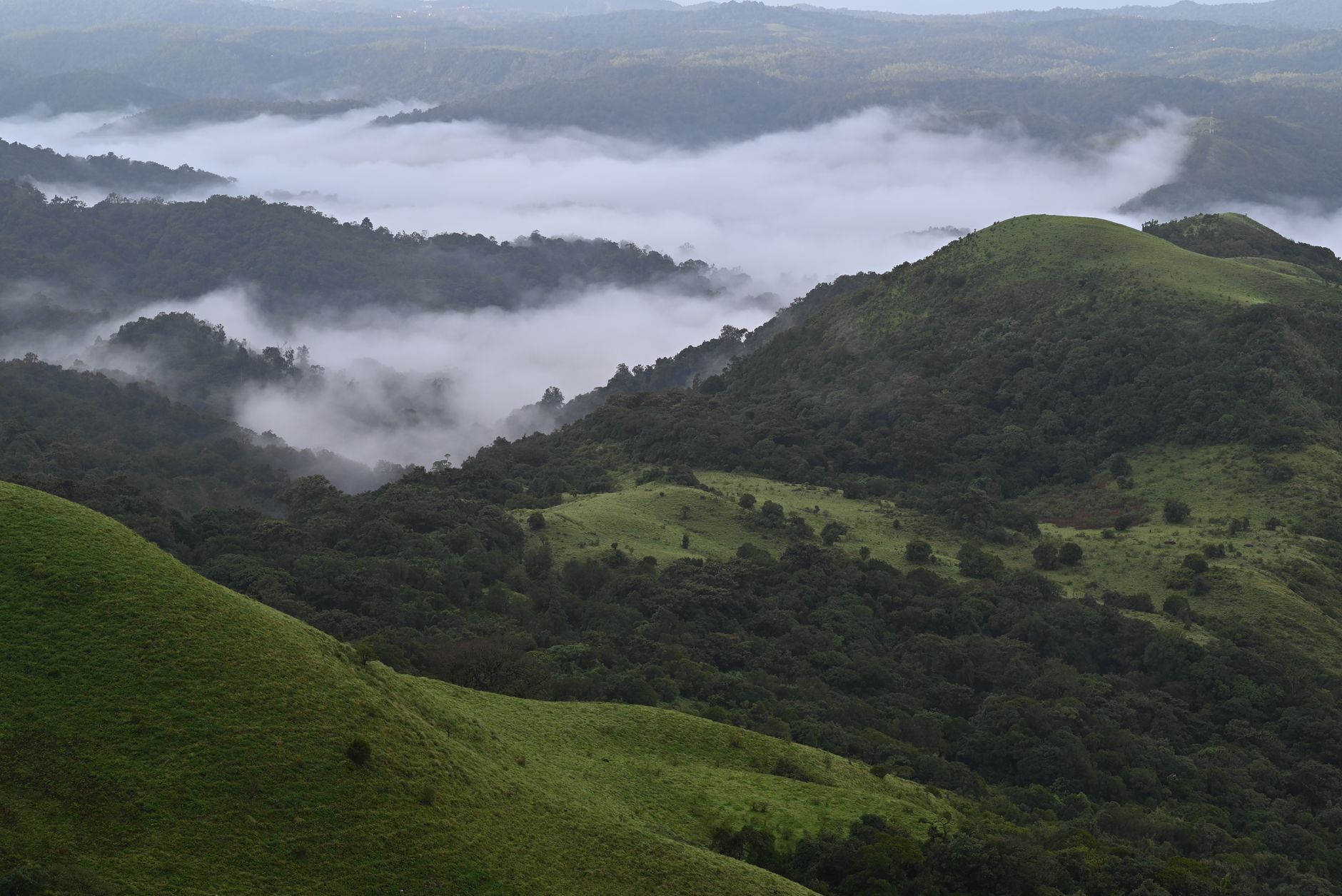 Vivek Alva Set to Champion Conservation at Russian Forum