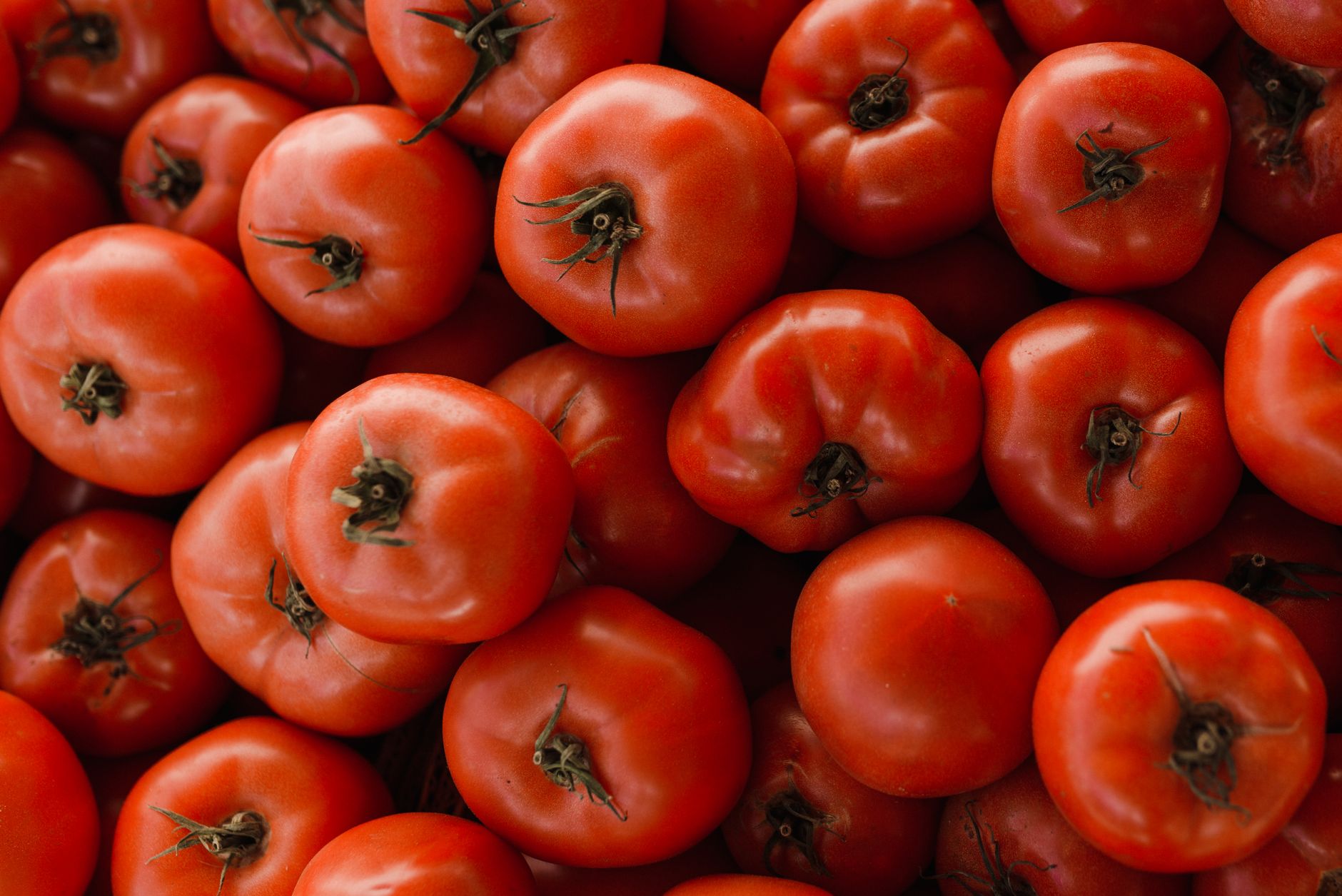 Unseen Tomato Compound May Revolutionise Liver Health