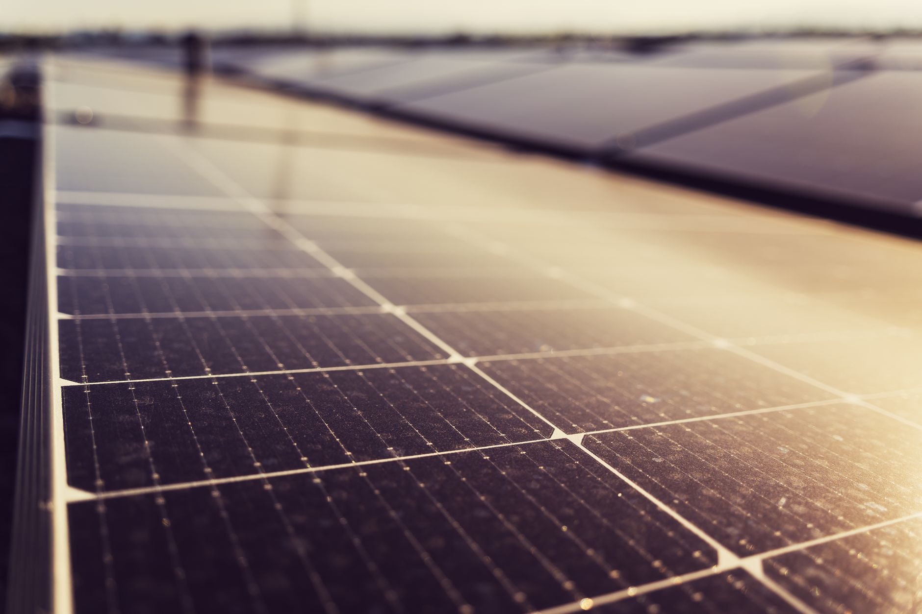 India's Solar-Powered Airport: Cochin's Green Triumph