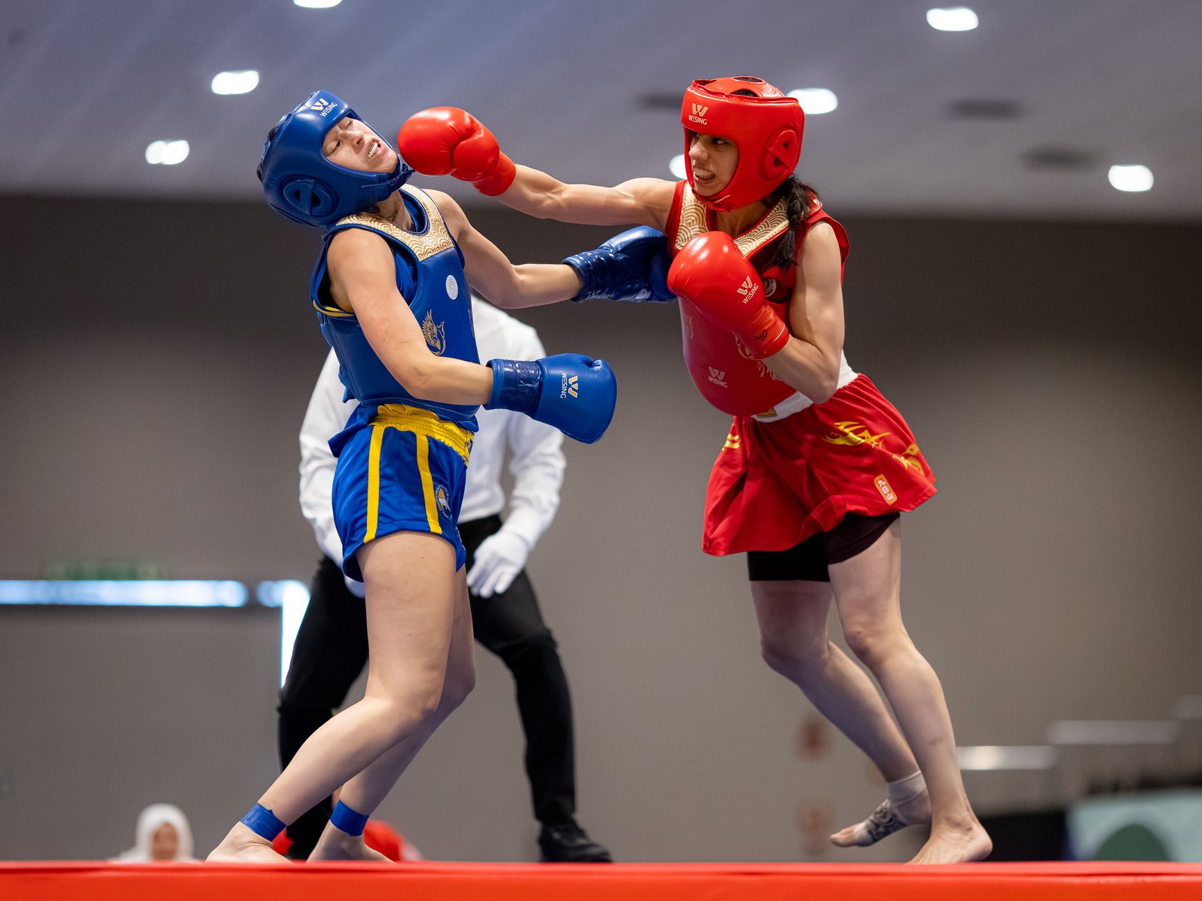 Sports Minister's Mediation Eases Wushu Dispute as Divyanshi Steps Back