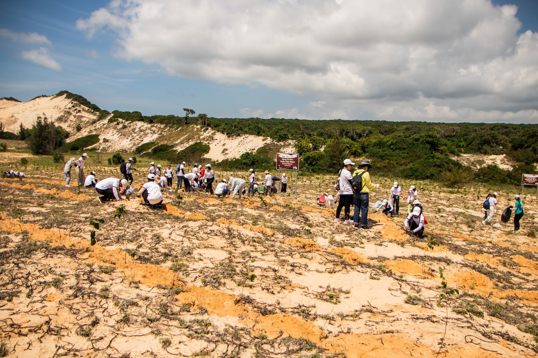 Ballari's Green March: A Commitment to Conservation