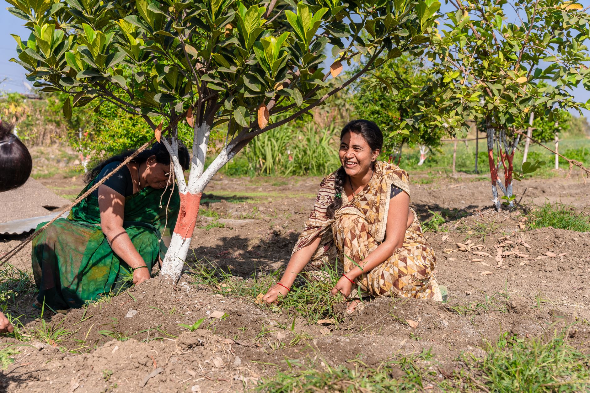 Nagpur's Trees Get High-Tech Health Check with AI-LiDAR