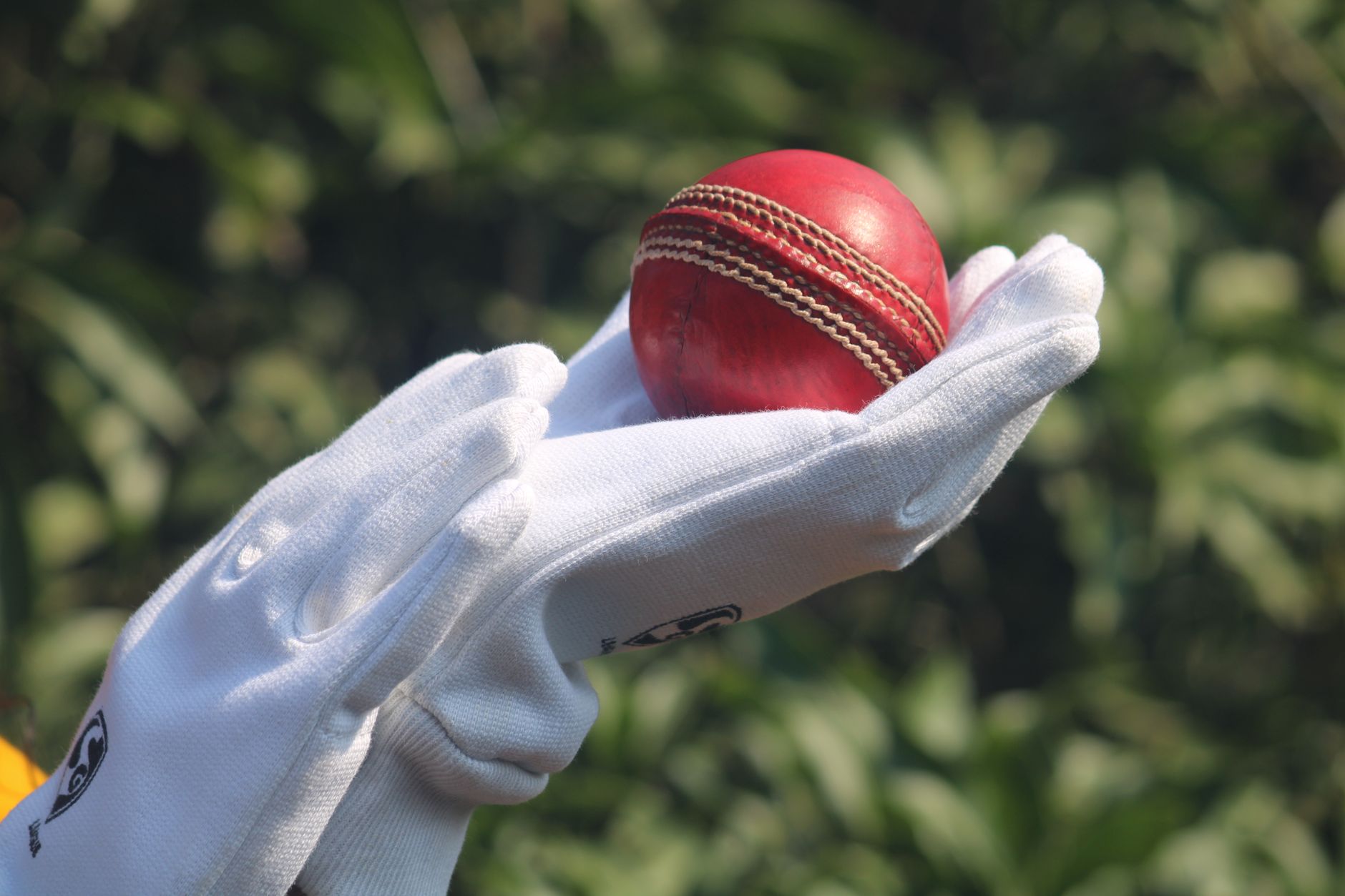 Salman Agha Steps Up as Babar Azam Misses England Test