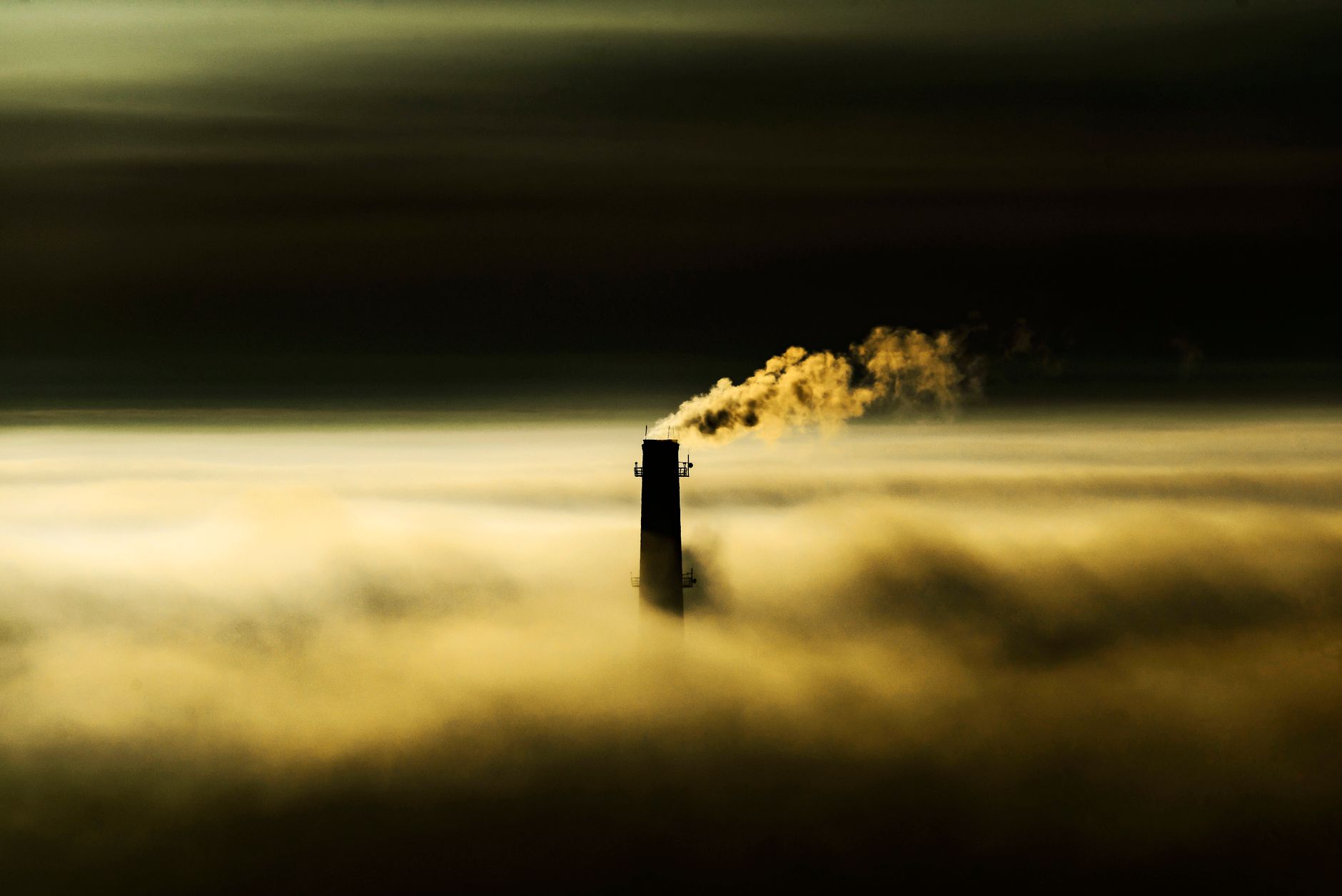 Earth's Energy Absorption Sparks Scientific Alarm