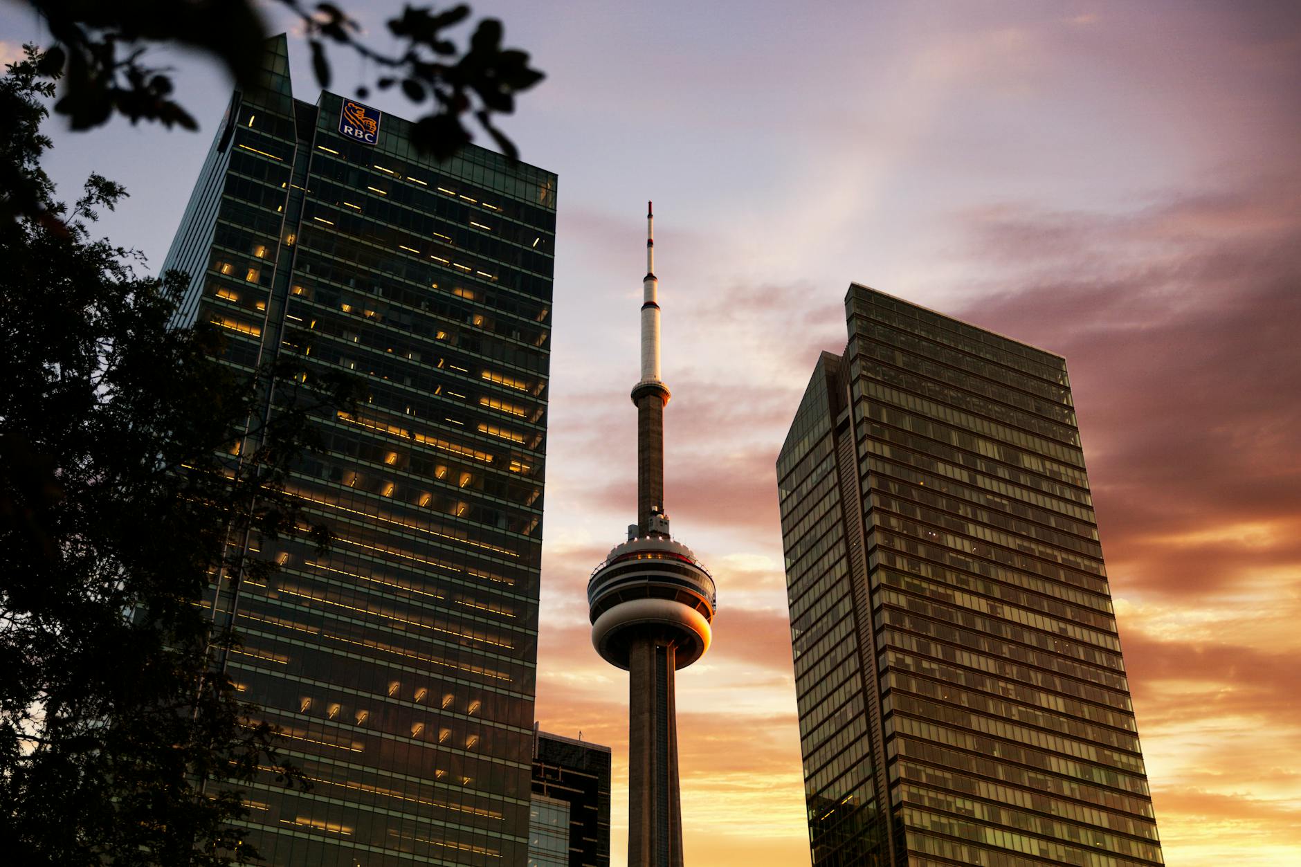 TCS Faces Setback as RBC Canada Revamps Technology Contracts
