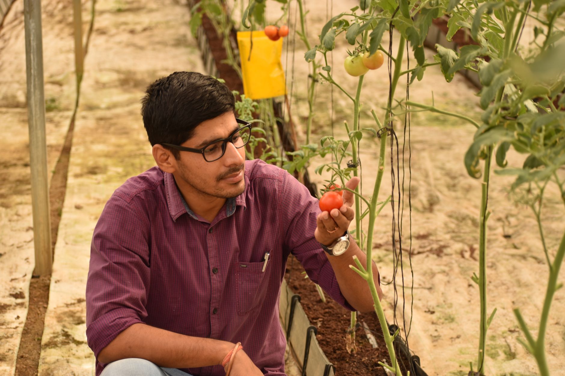 Fadnavis Champions Tech Revolution in Maharashtra's Agriculture