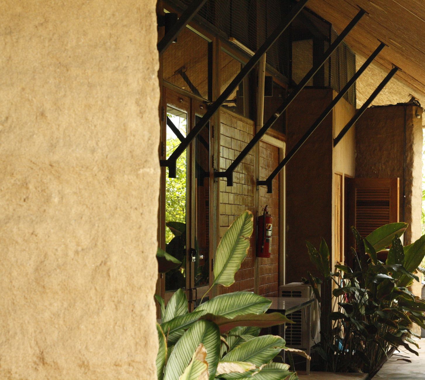 Harnessing Nature: The Rise of Passive Cooling in Architecture