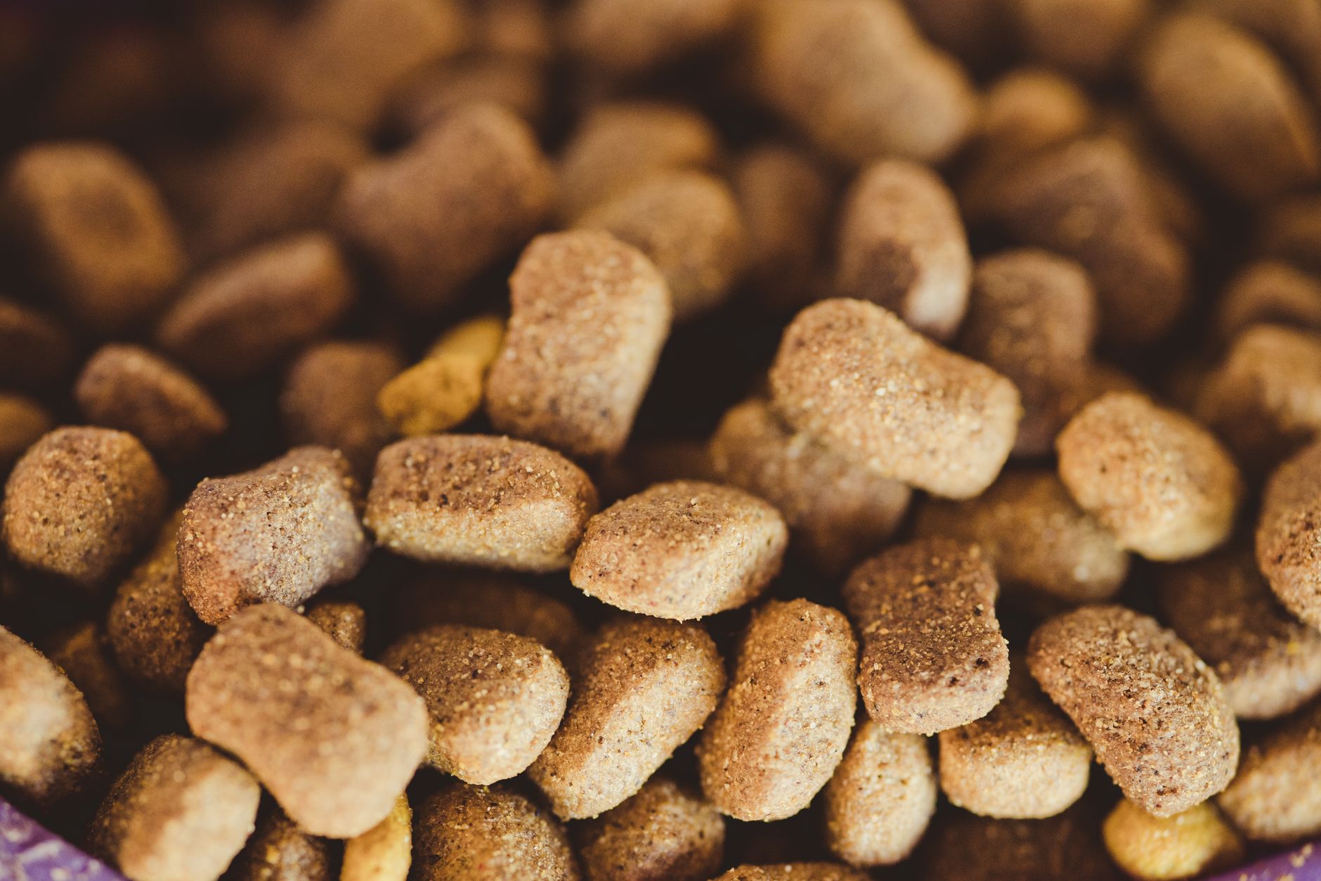 Exploring Diets and Osteoarthritis: Insights from Health Wrap 51