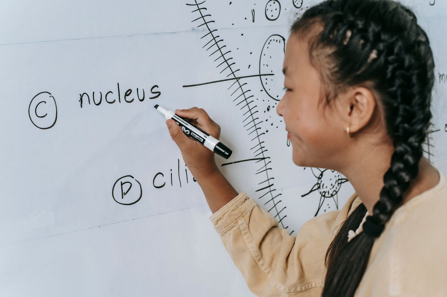 CBSE Launches Science Challenge for Classes 8-10: Registration Opens