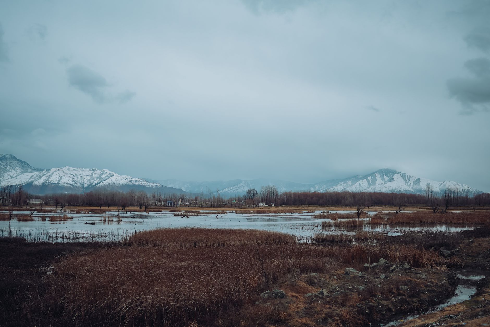 Urgent Call for Action to Preserve J&K's Pristine Lakes