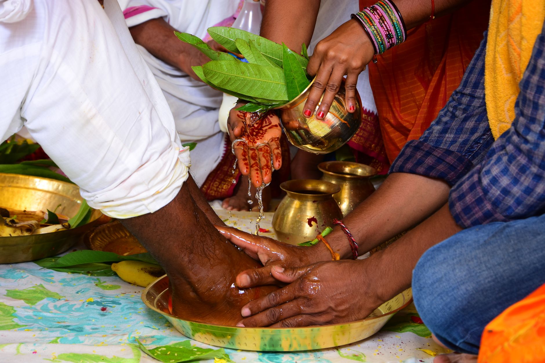 Andhra Pradesh Seeks ₹257 Crore Boost for AYUSH Sector