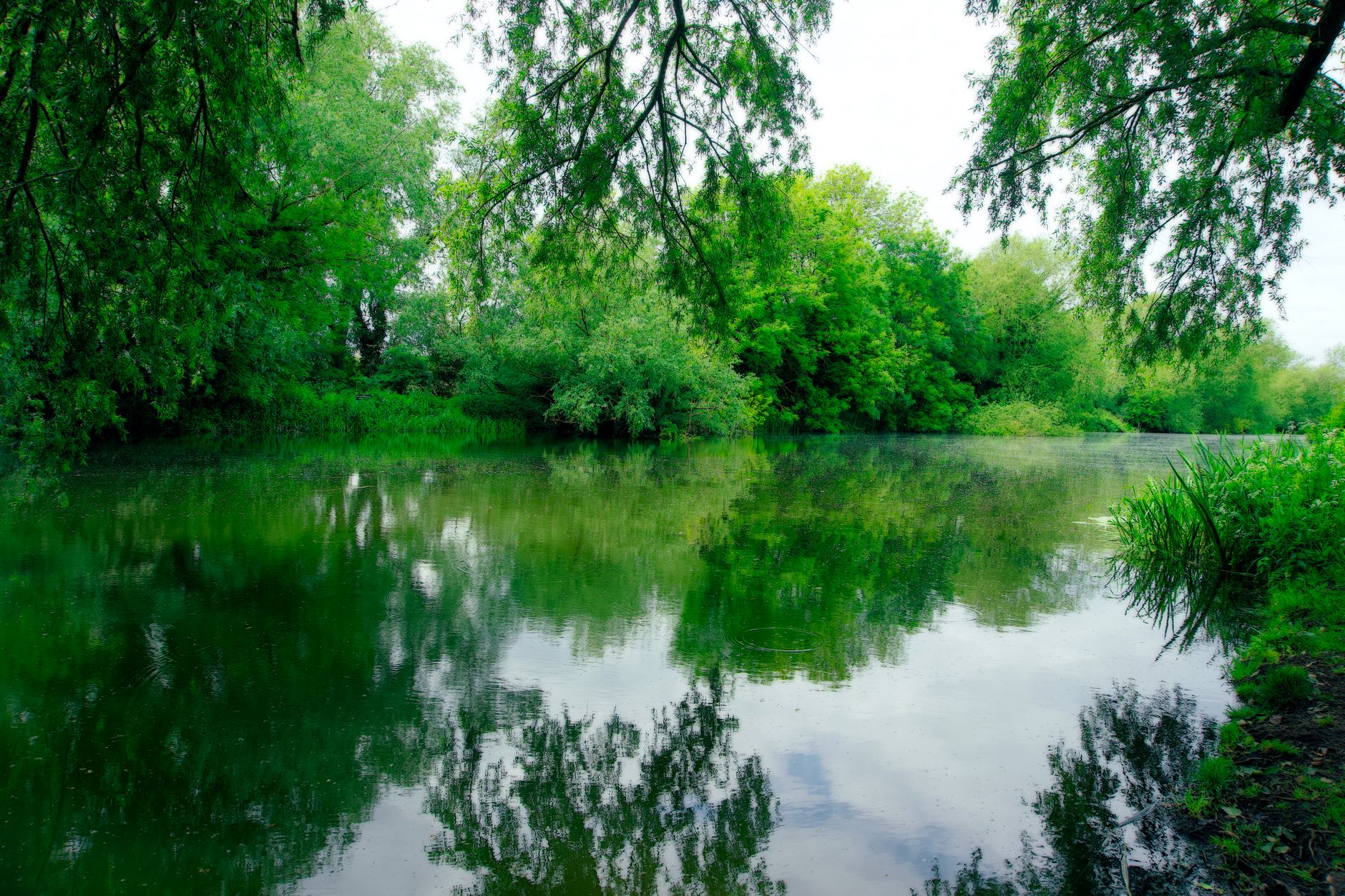 Tories Propose Abolition of Key Environmental Bodies