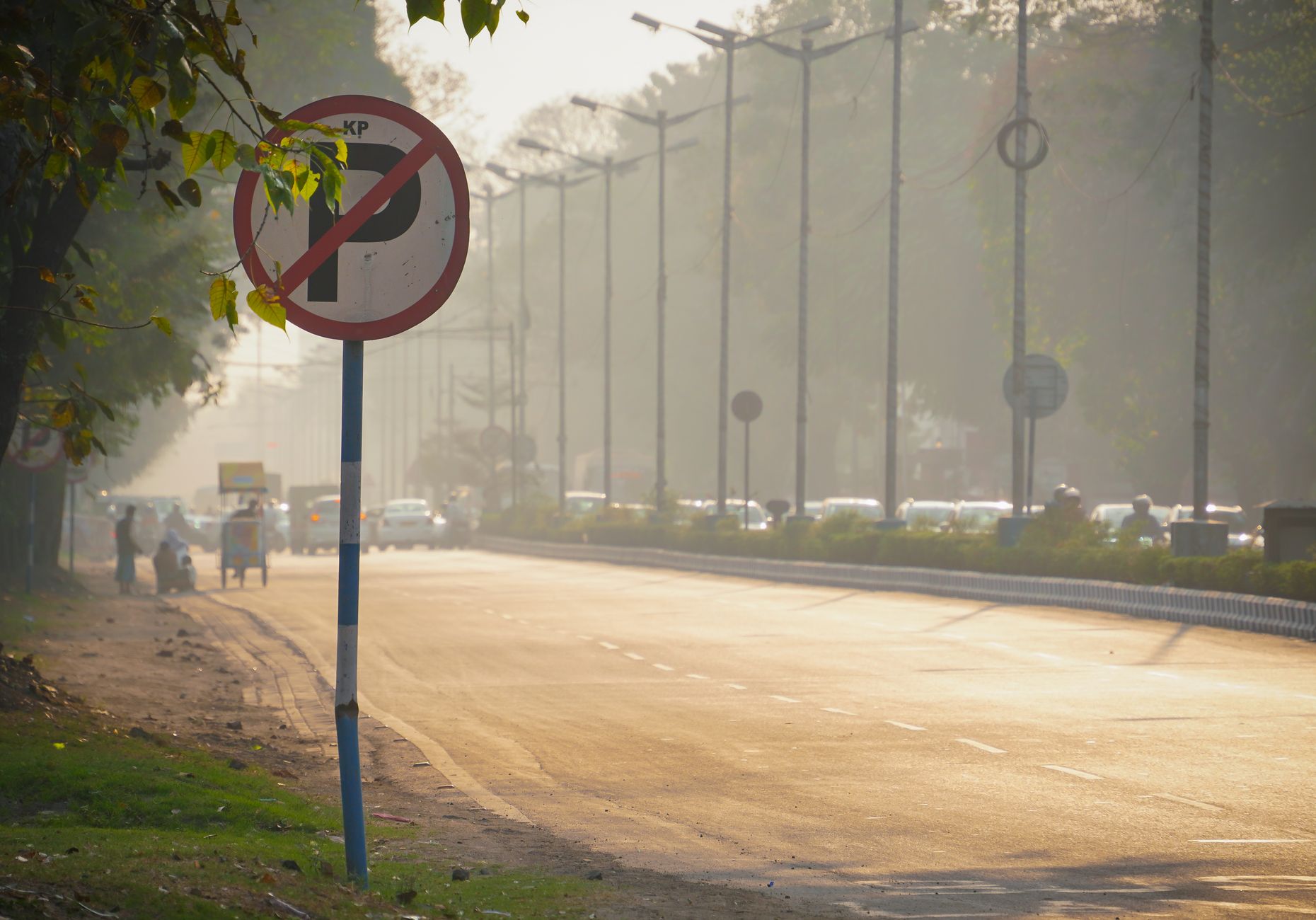 Indian Courts Tackle Environmental Challenges: Key Rulings