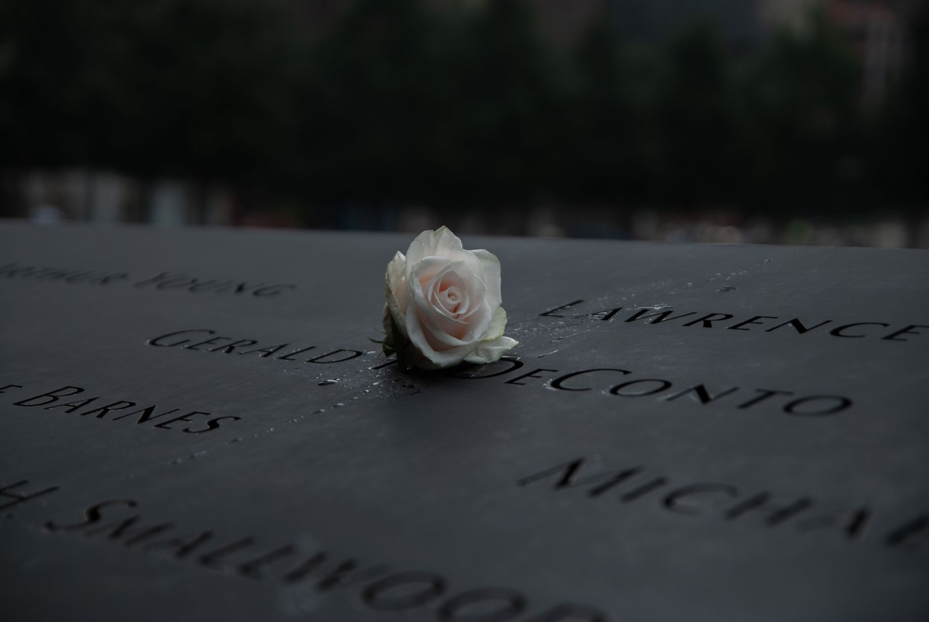 Genetic Genealogy Offers New Hope for 9/11 Families