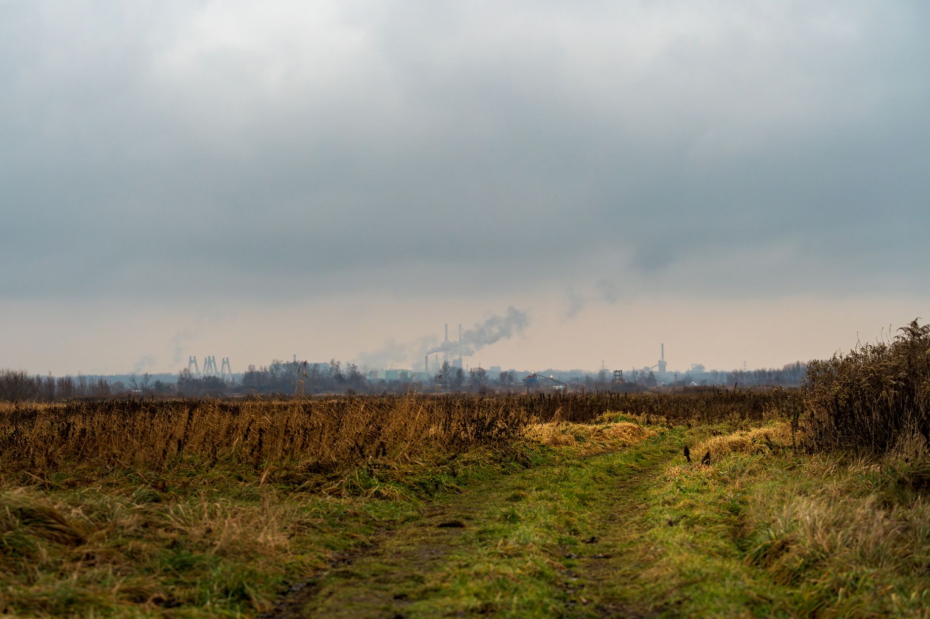 Yorkshire Firms Penalised £470,000 for Environmental Breaches