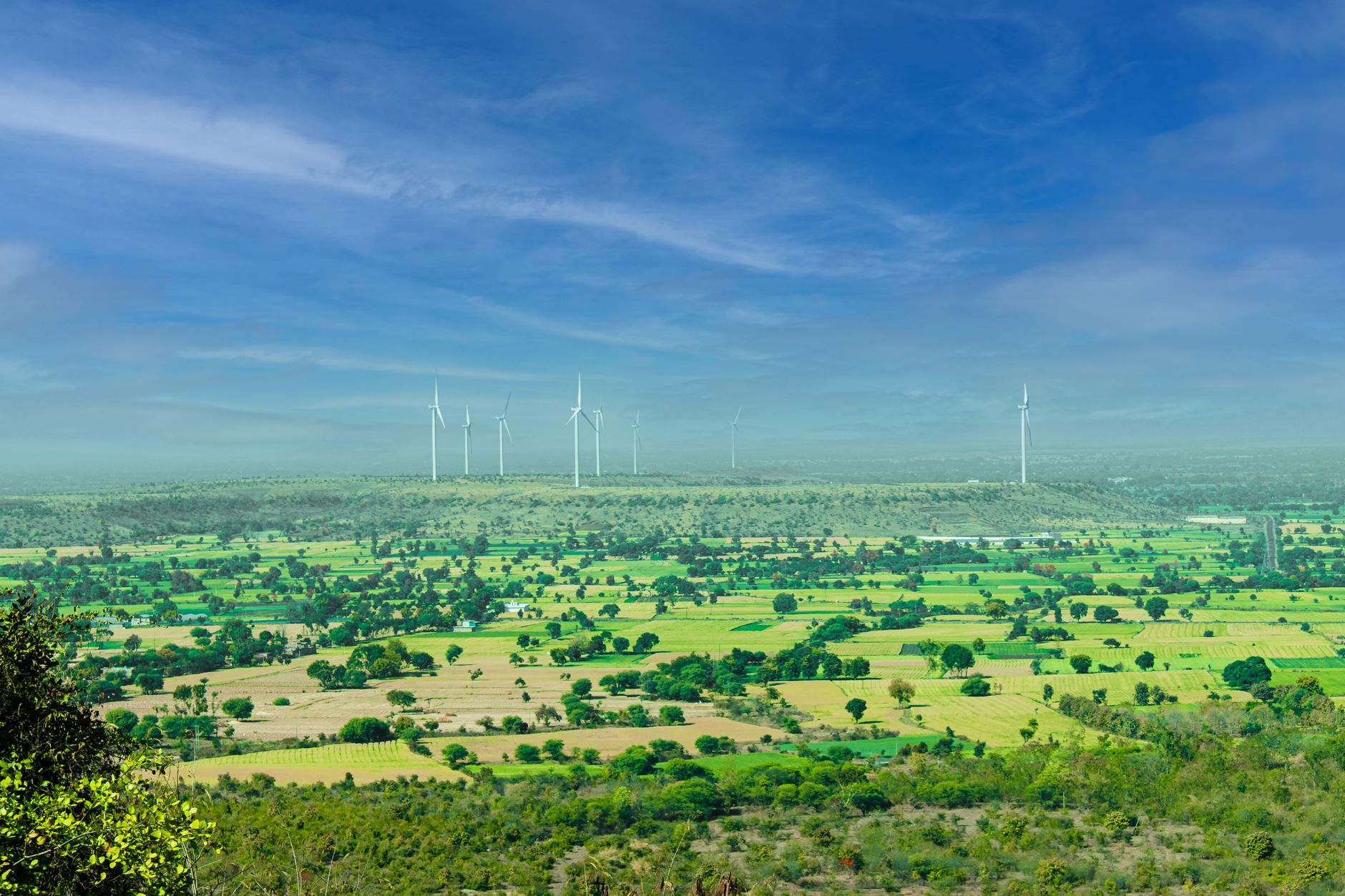 Odisha and Madhya Pradesh Forge Path to Renewable Future
