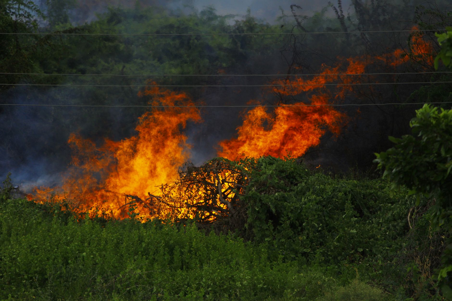 Inferno of War: Environmental Devastation Unveiled