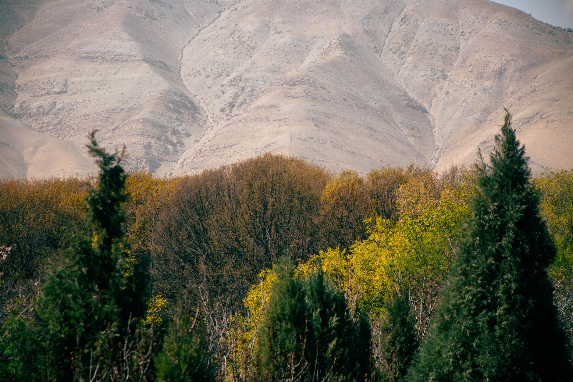 Iran's President Lambasts Mideast Conflicts for Environmental Harm