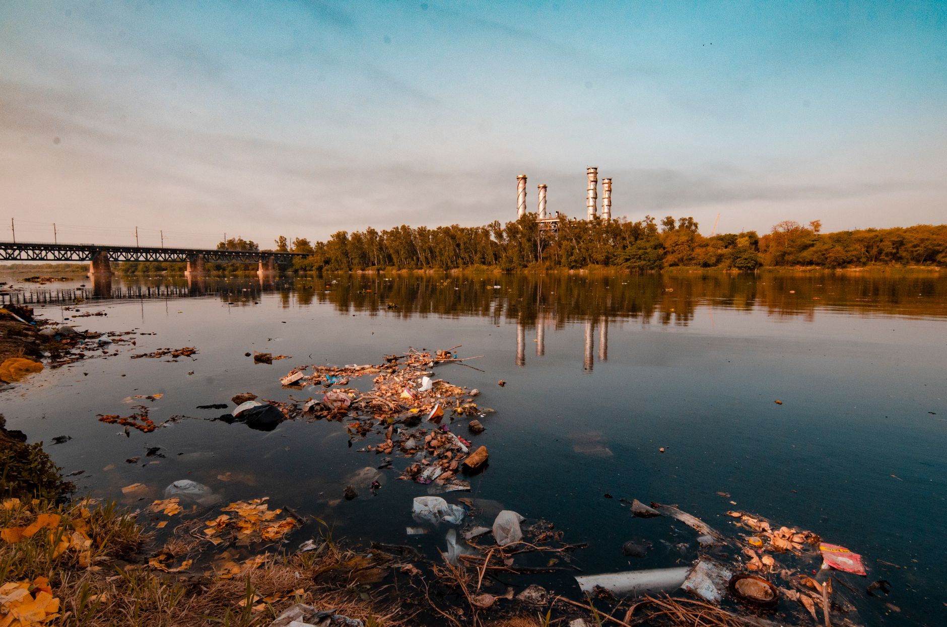 Court Orders Aim to Tackle India's Environmental Challenges