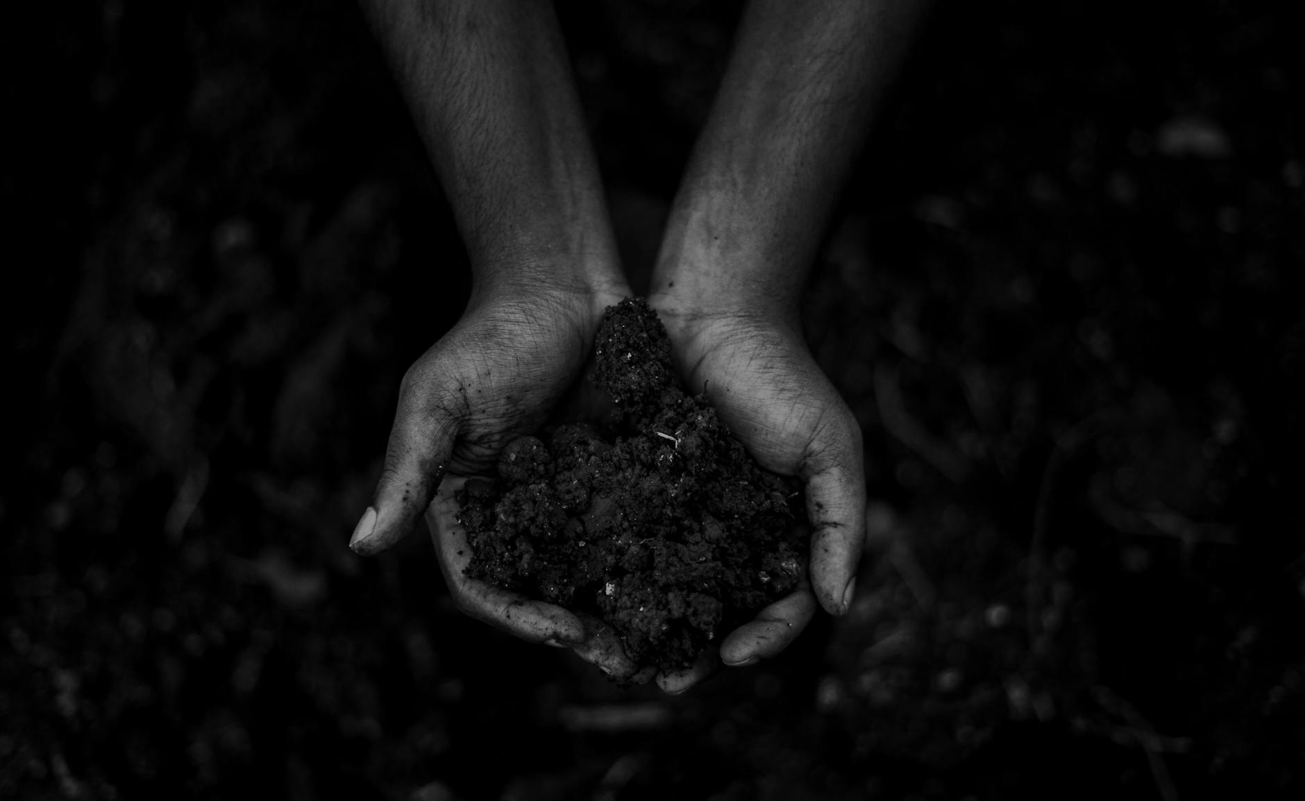 Unseen Soil Health Crisis Threatens India's Agricultural Future