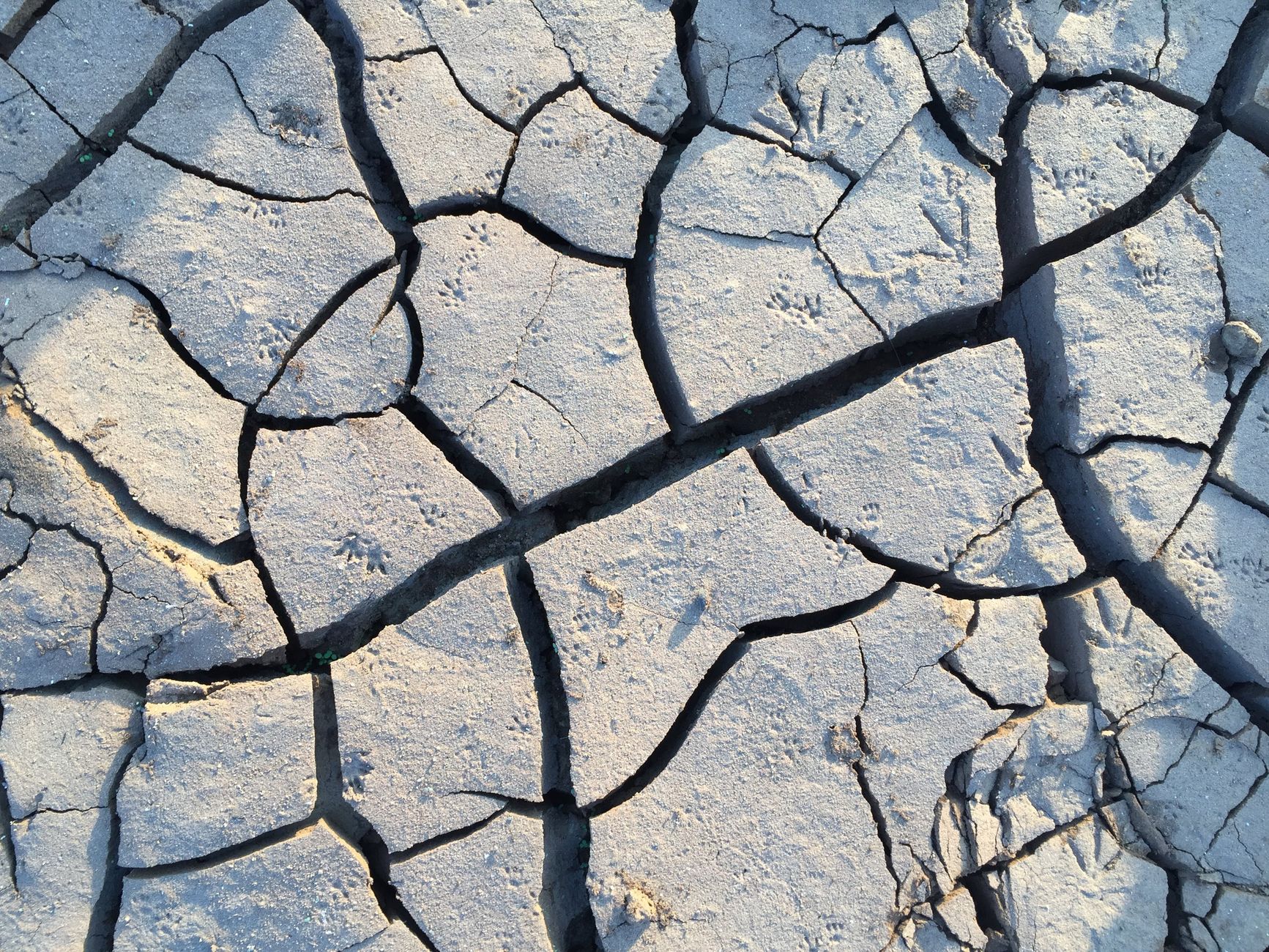Drought: A Crucial Challenge, Declares Environment Minister at UN Meeting