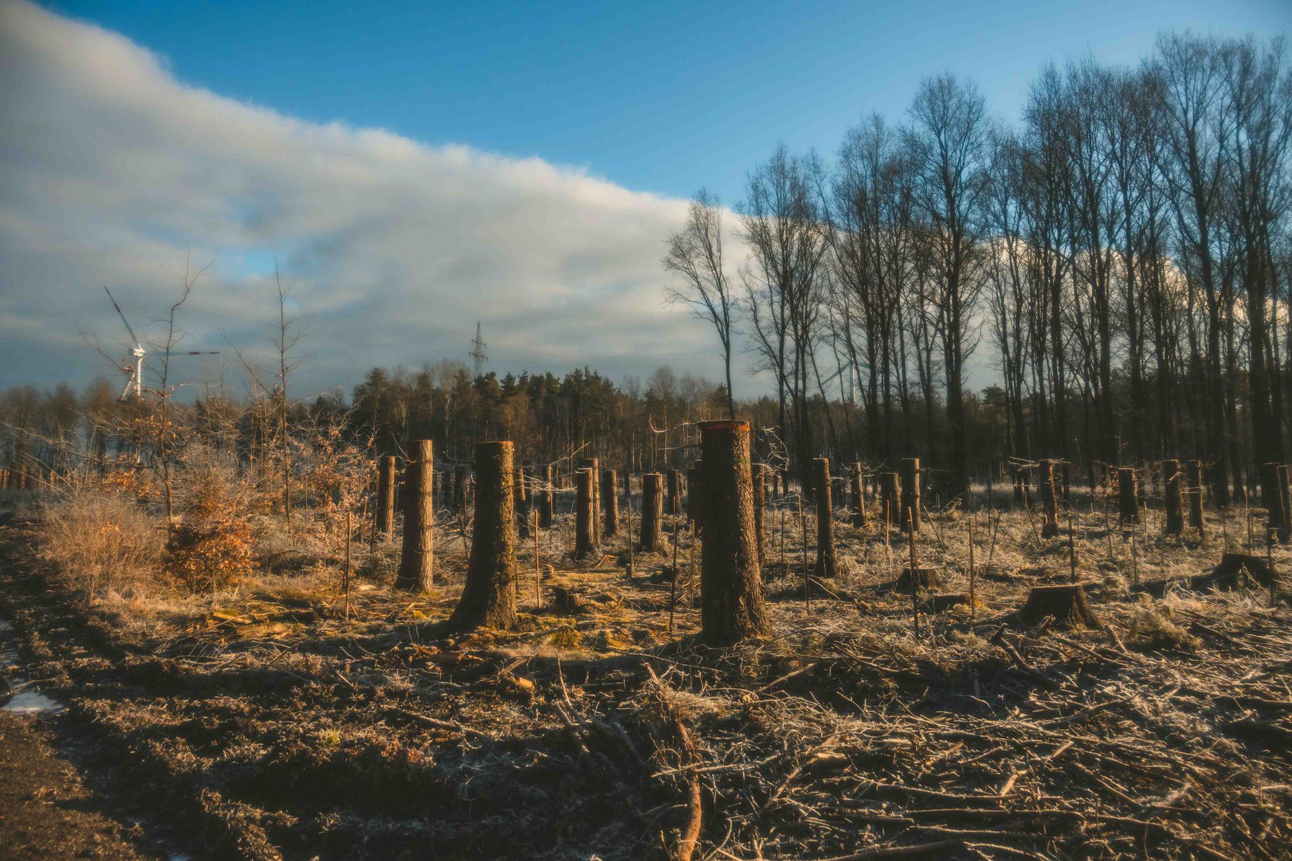 Google's Finnish Datacentre Plans Stalled Over Environmental Fears