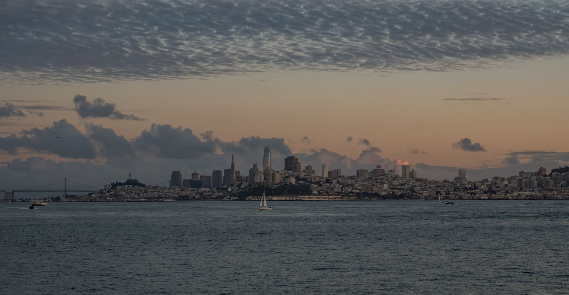 The Silent Pilgrimage: A Journey of Environmental Resolve