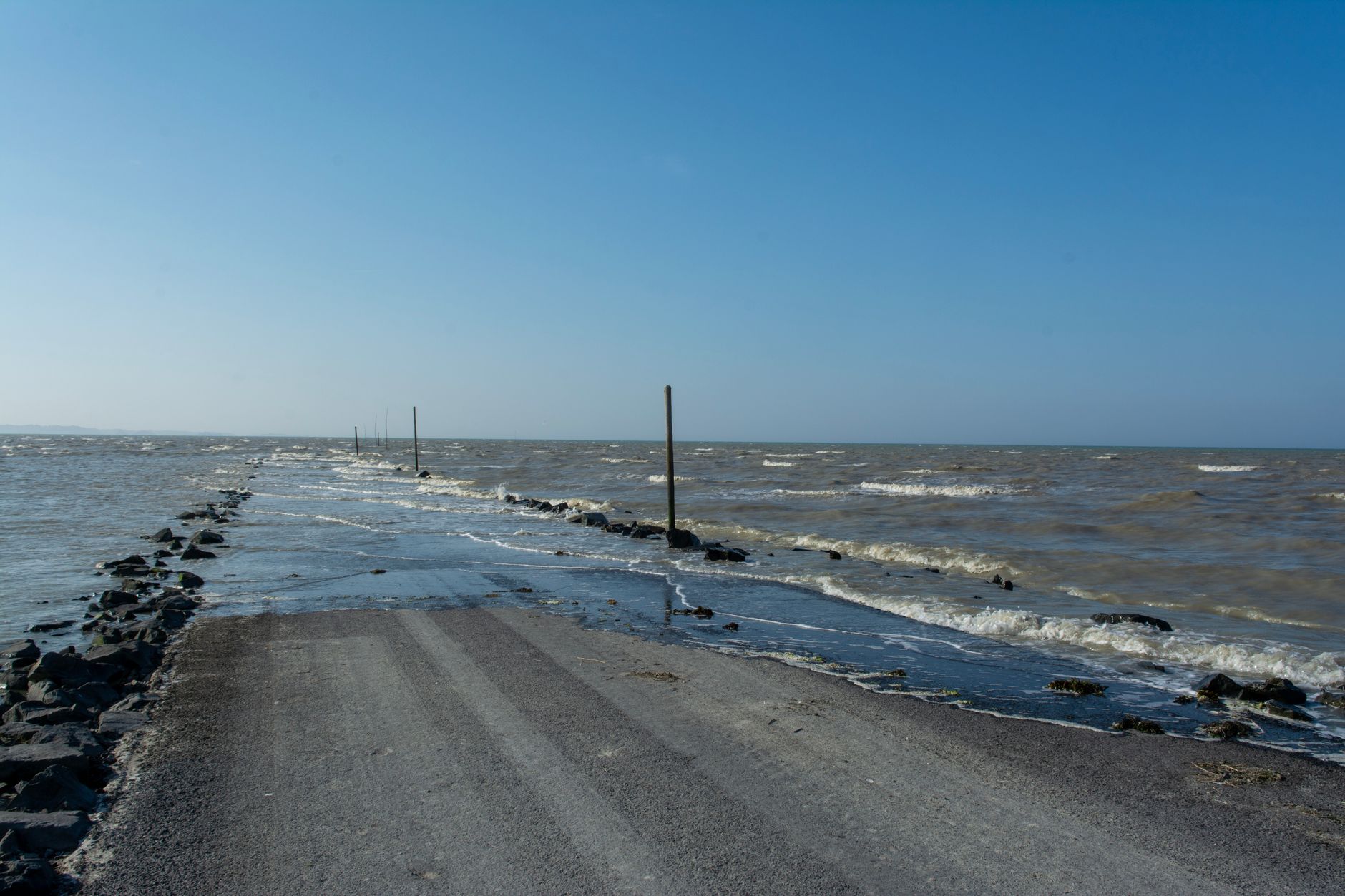 Snap to the Future: Tyrella Beachgoers Aid Coastal Science