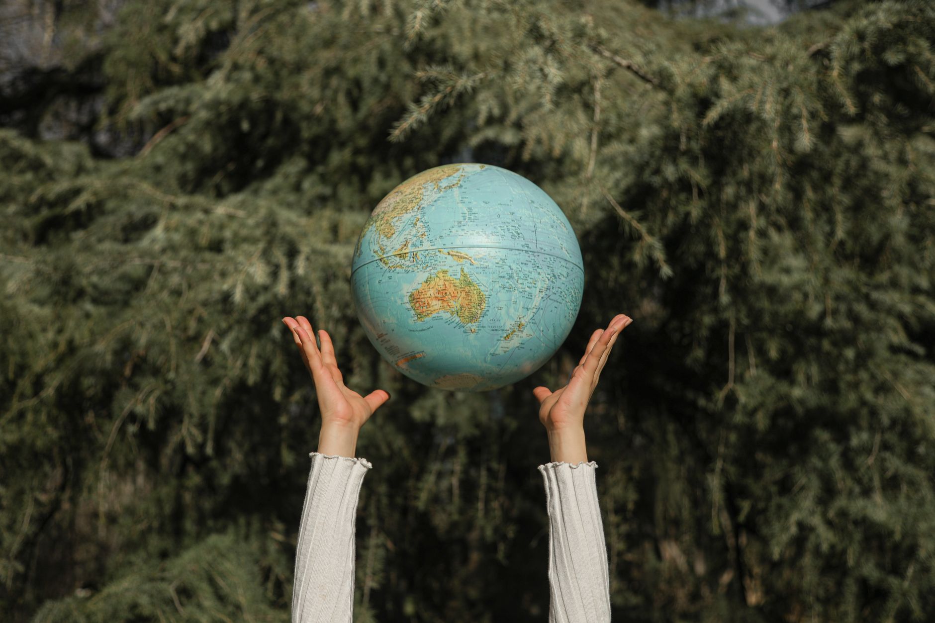 Sister Nivedita University Unites Classrooms and Forests on World Environment Day