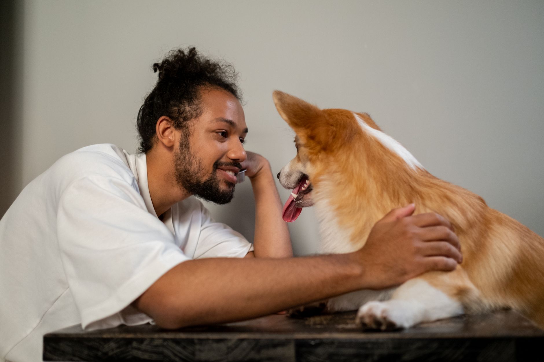 How Dogs Truly Understand Us: The Science Behind Canine Brains