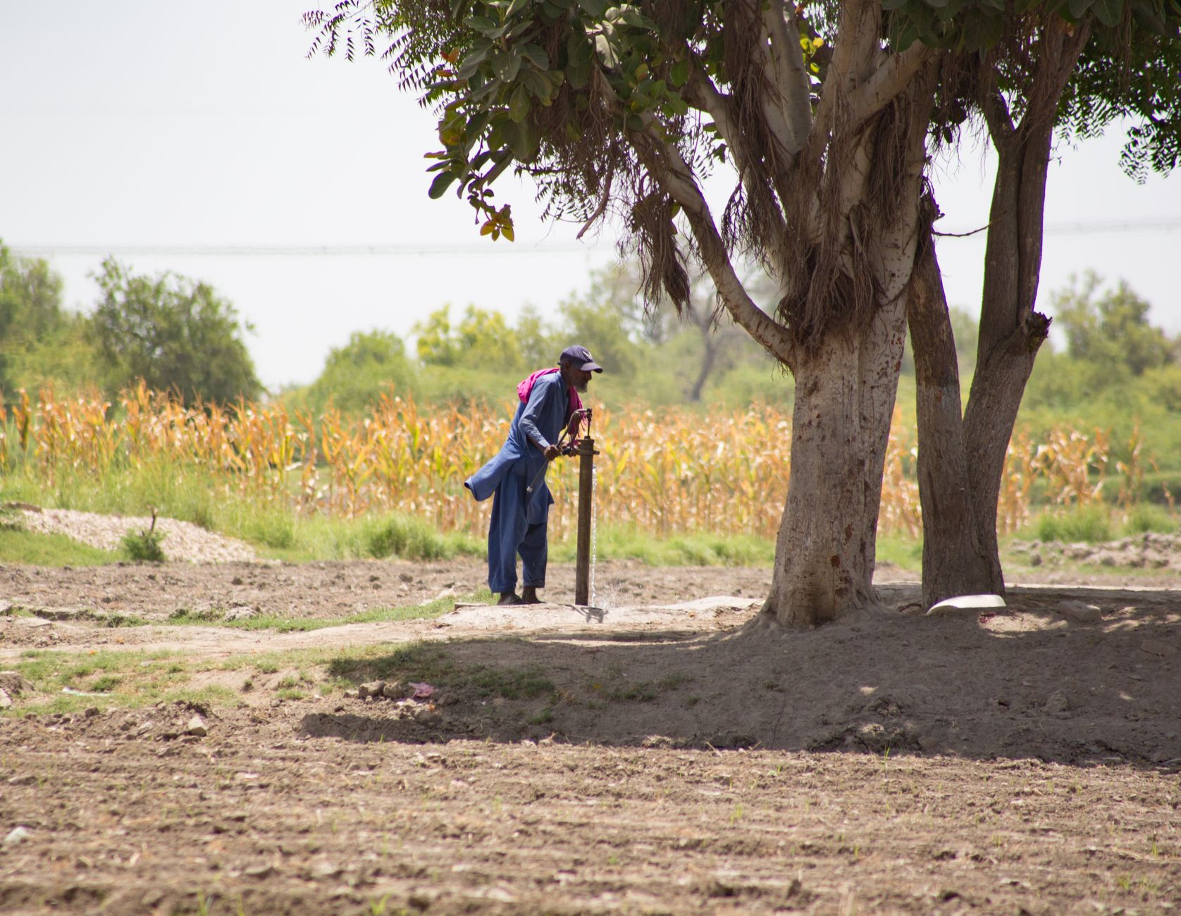The Delicate Dance of Groundwater and Agriculture