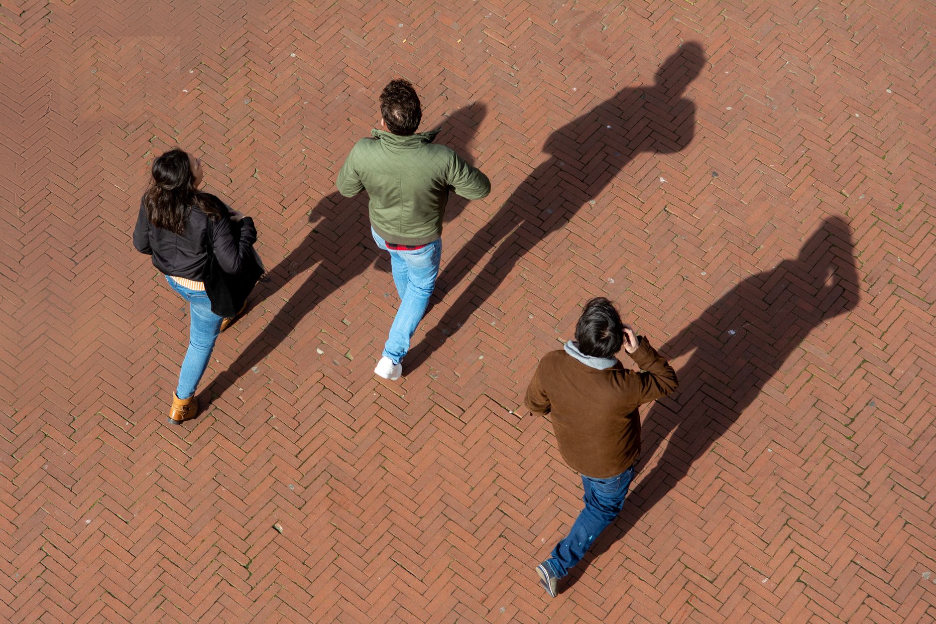 The Unseen Bias: Why We Walk in Circles