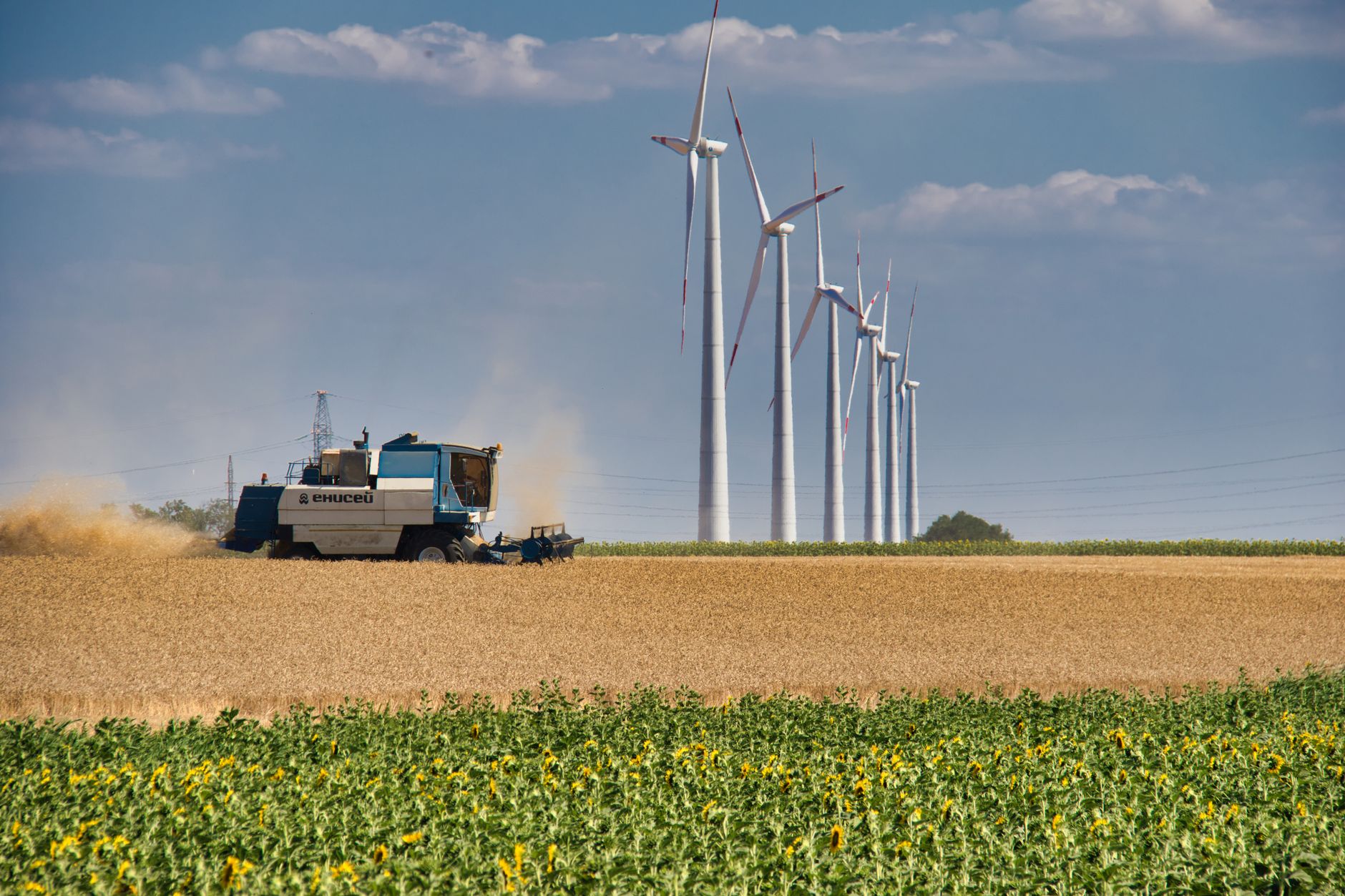 ChiniMandi Takes Aim at Ethanol Myths with Science