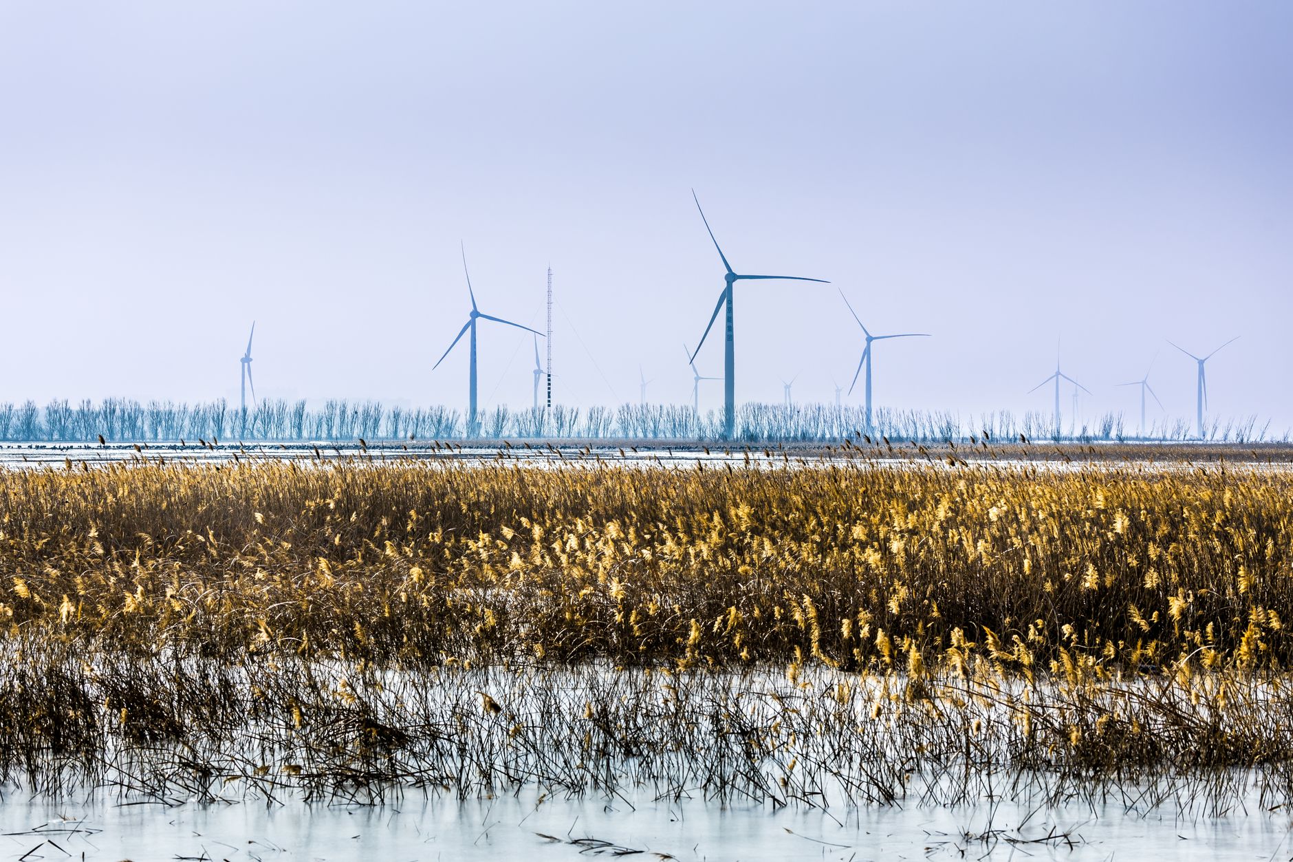 AI's Hidden Environmental Toll: Water, Land and Climate