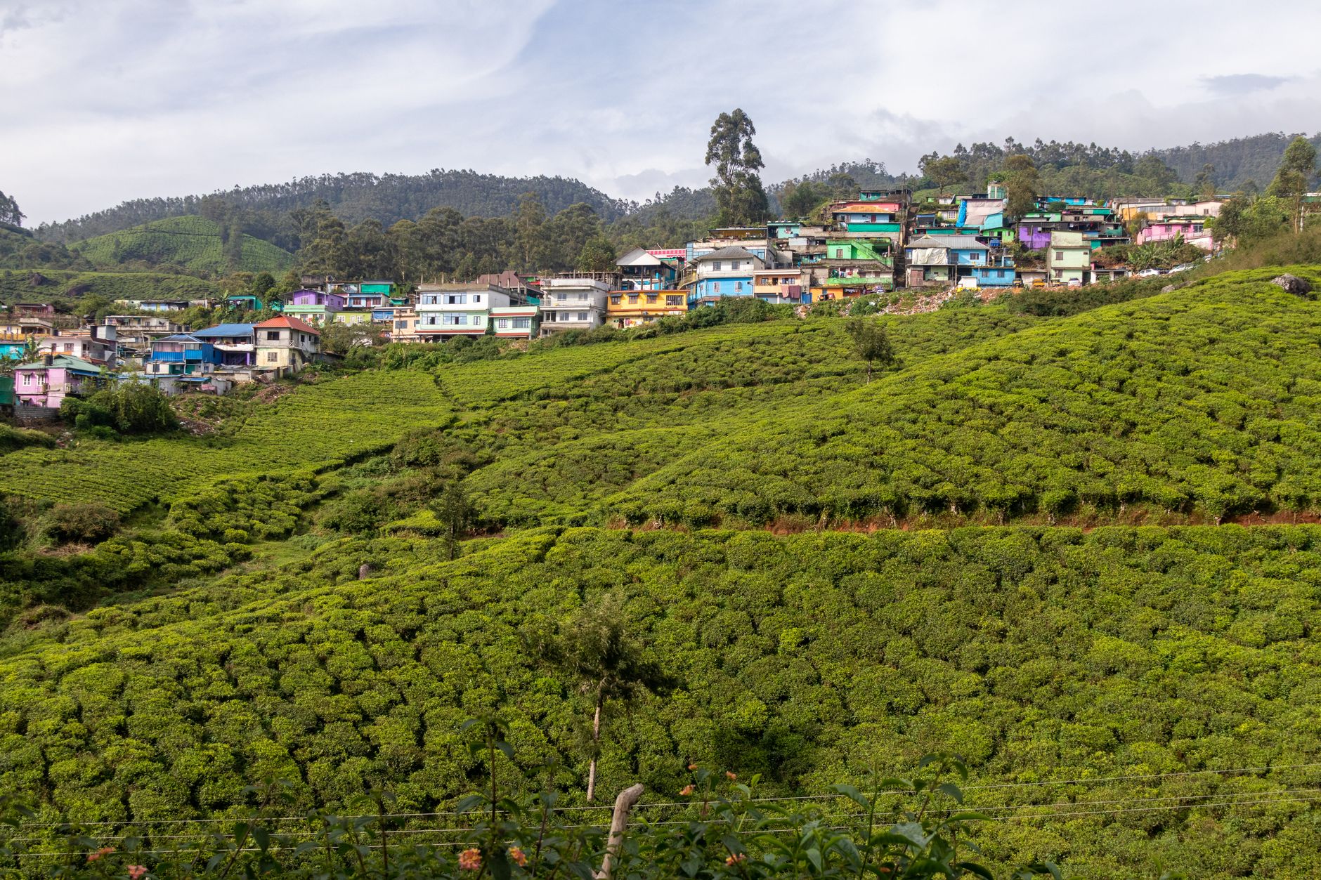 Nilgiris Business Owners Rally Against Tourist Road Closure