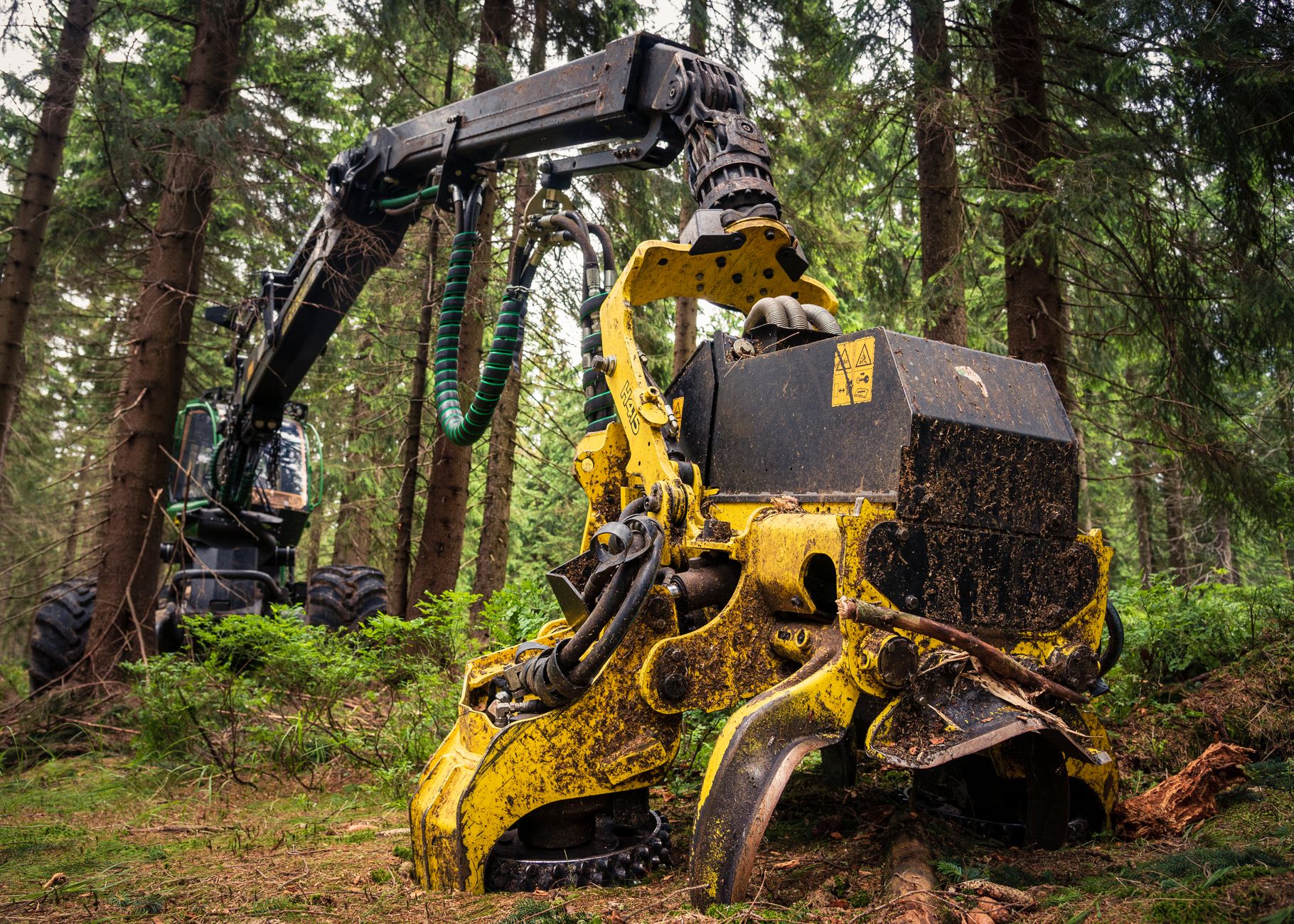 Digital Innovations Revolutionise Forestry Management